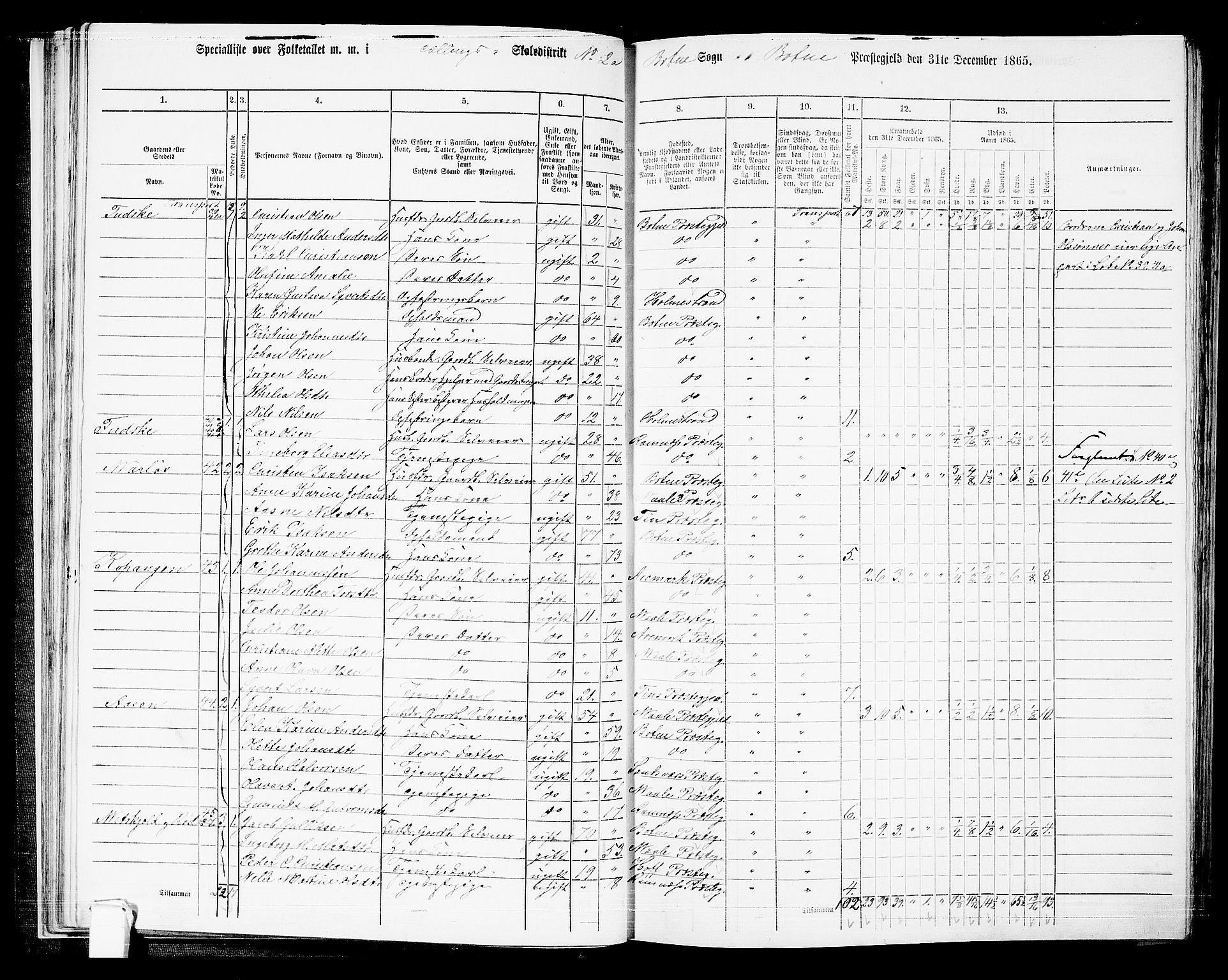 RA, 1865 census for Botne/Botne og Hillestad, 1865, p. 36