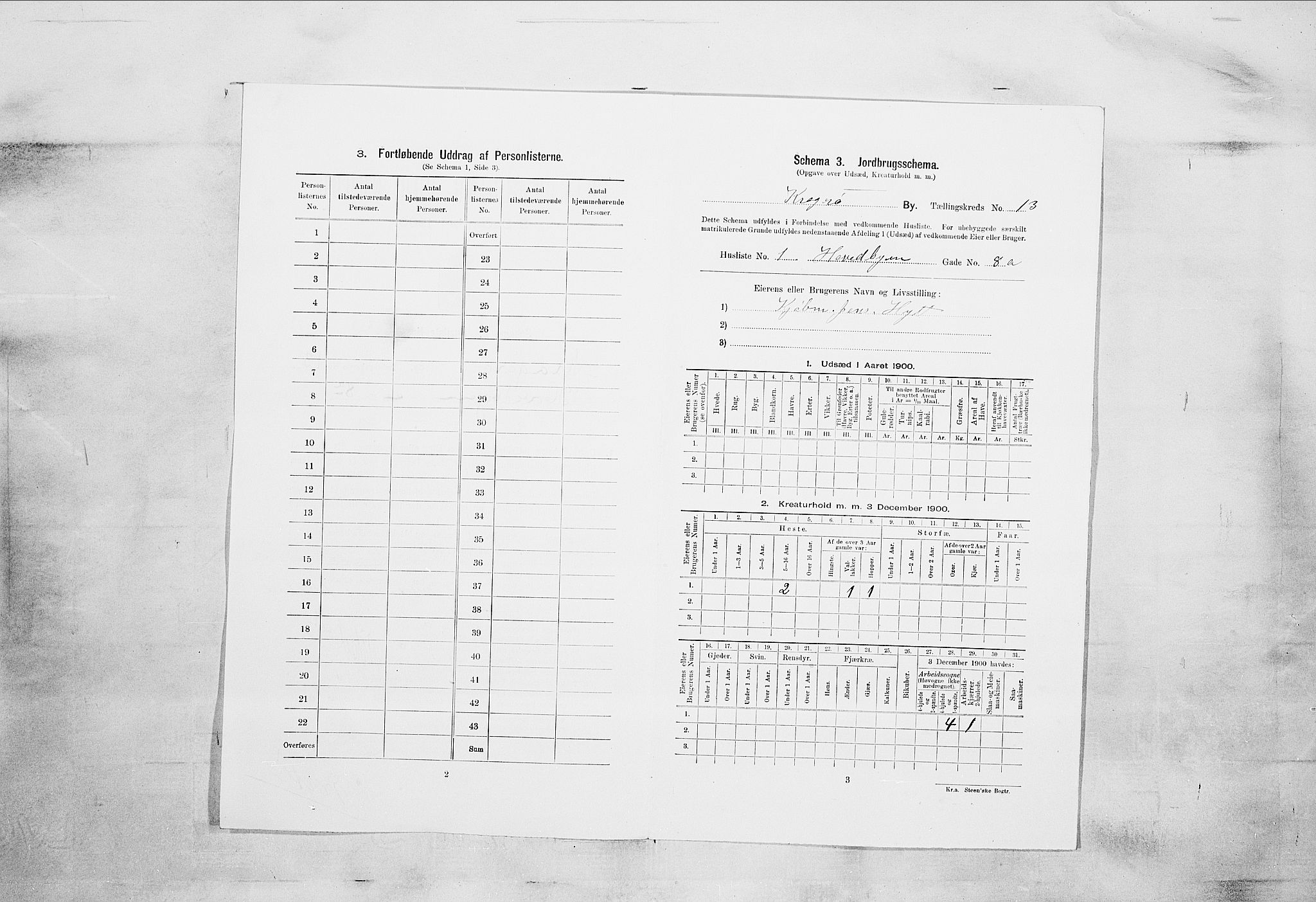 SAKO, 1900 census for Kragerø, 1900, p. 1673