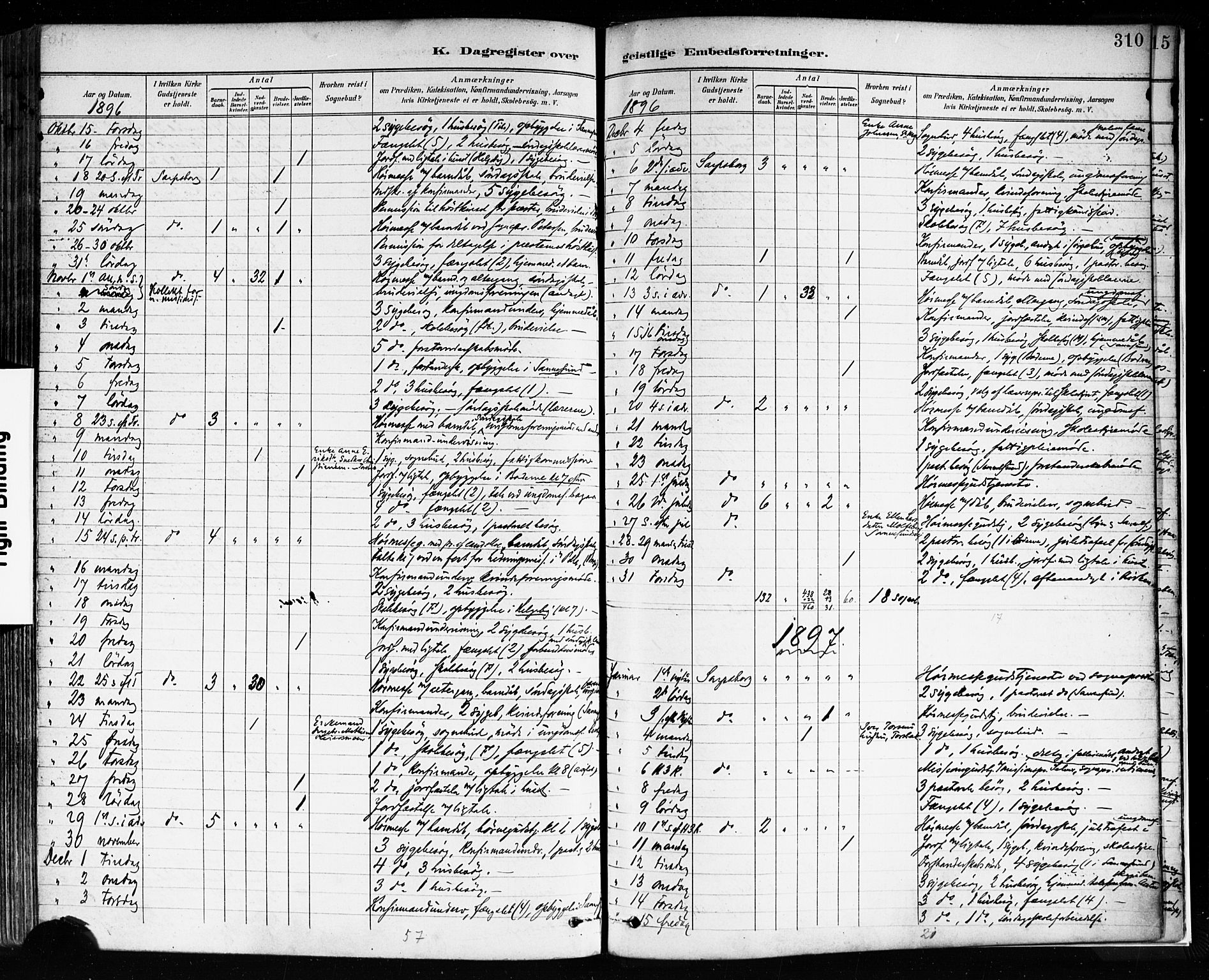 Sarpsborg prestekontor Kirkebøker, SAO/A-2006/F/Fa/L0004: Parish register (official) no. 4, 1892-1899, p. 310