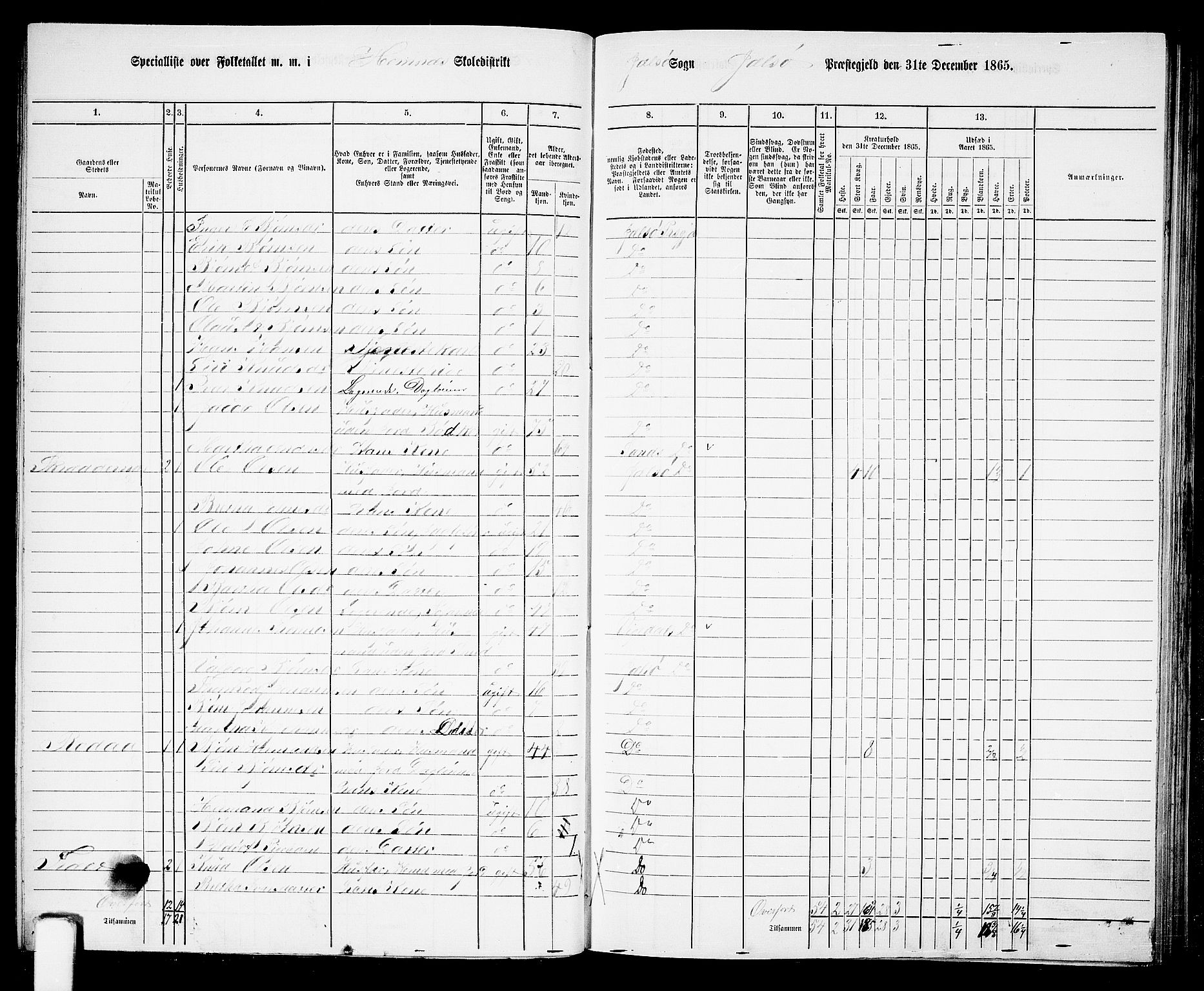 RA, 1865 census for Jelsa, 1865, p. 46