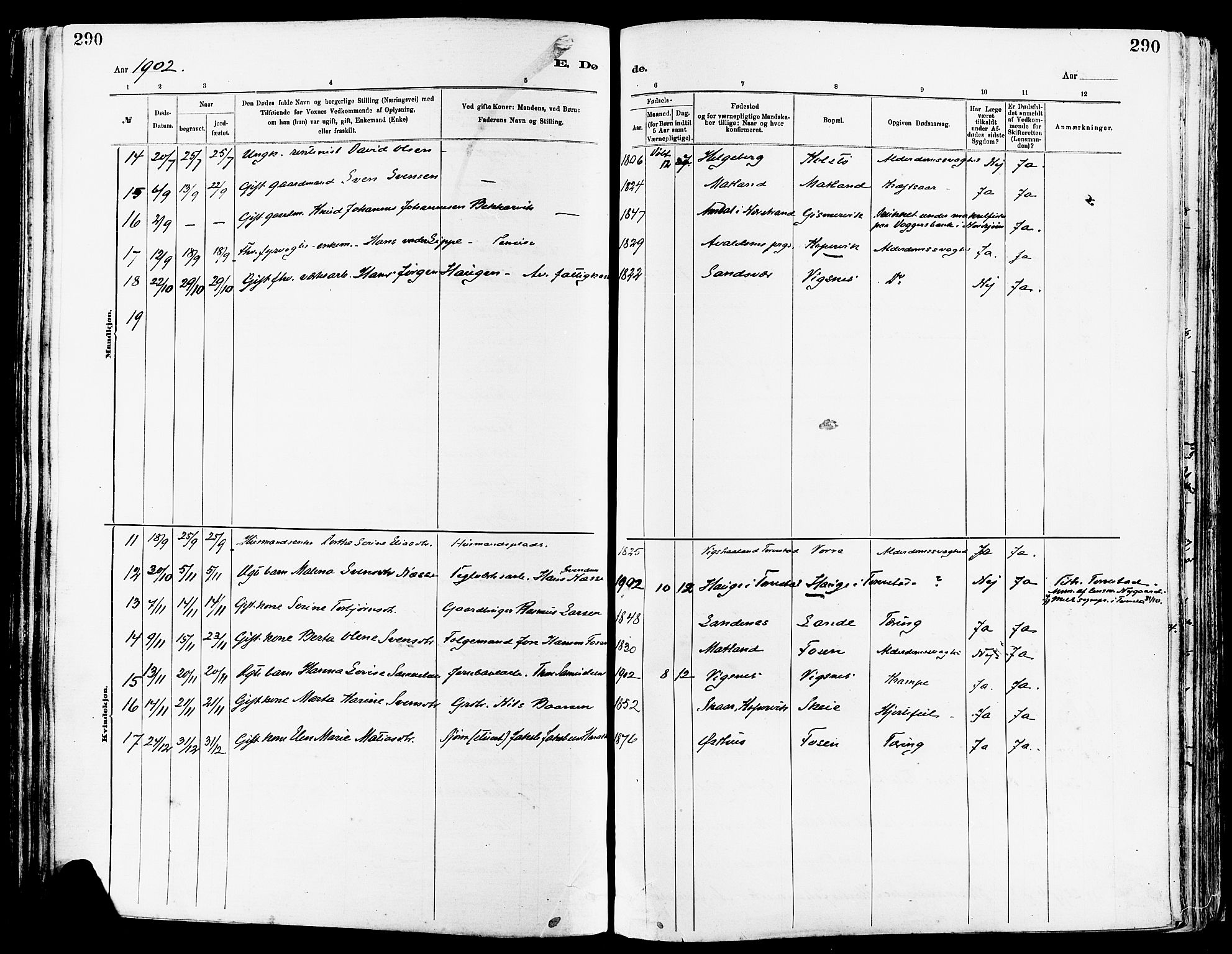 Avaldsnes sokneprestkontor, AV/SAST-A -101851/H/Ha/Haa/L0015: Parish register (official) no. A 15, 1880-1906, p. 290