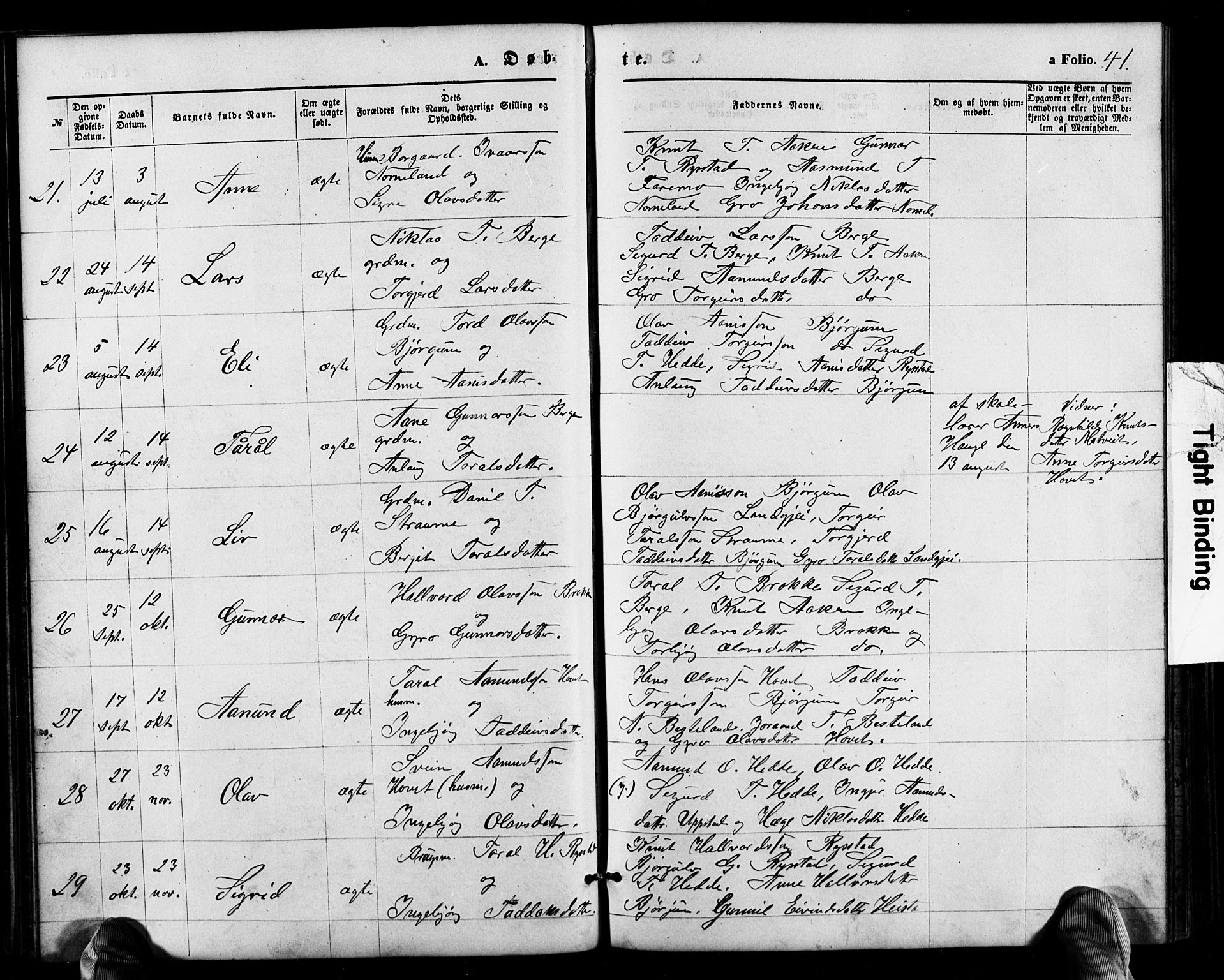 Valle sokneprestkontor, SAK/1111-0044/F/Fb/Fbb/L0002: Parish register (copy) no. B 2, 1875-1921, p. 41