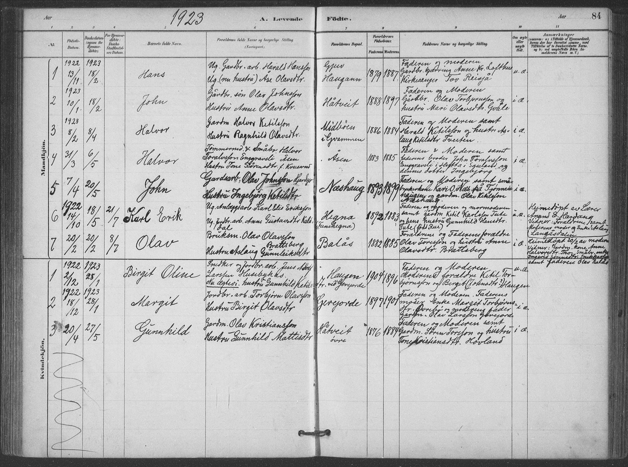 Hjartdal kirkebøker, AV/SAKO-A-270/F/Fa/L0010: Parish register (official) no. I 10, 1880-1929, p. 84