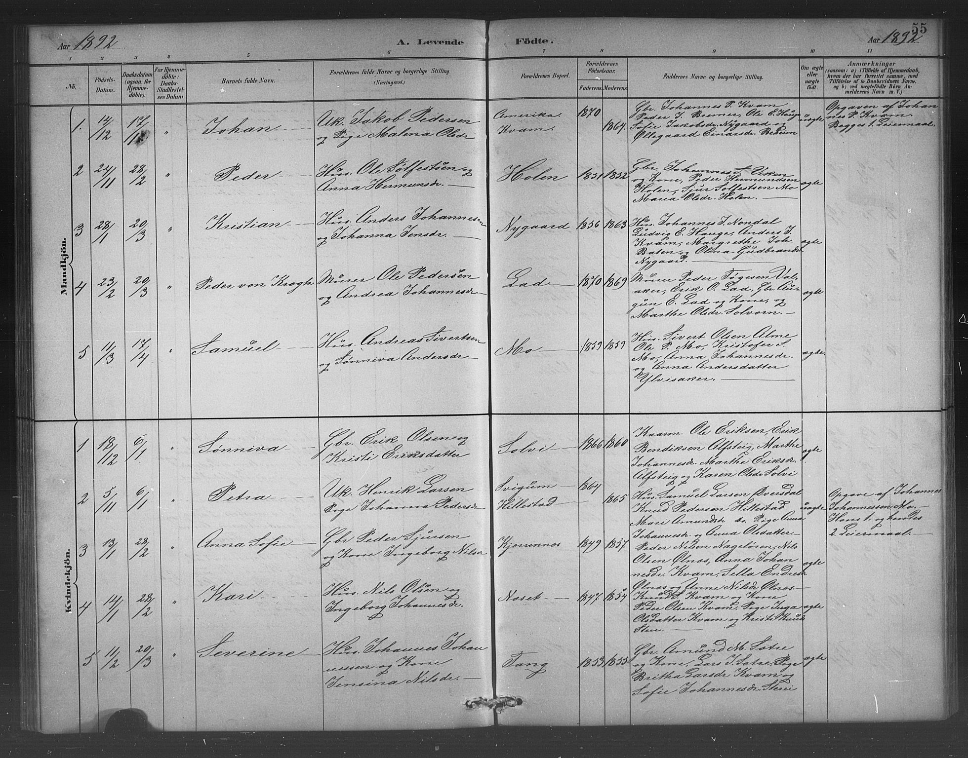 Hafslo sokneprestembete, AV/SAB-A-80301/H/Hab/Habb/L0001: Parish register (copy) no. B 1, 1882-1908, p. 55