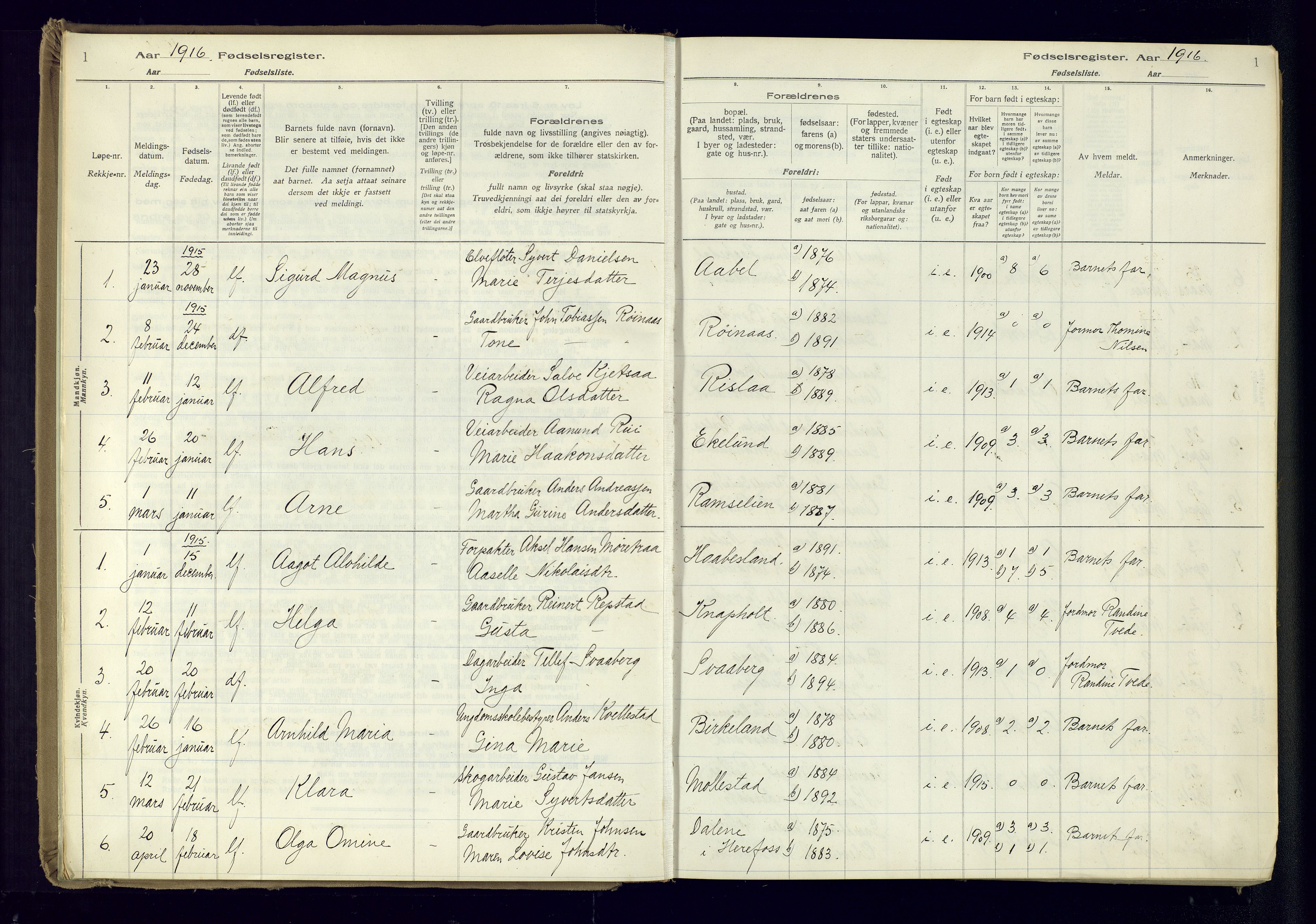 Birkenes sokneprestkontor, AV/SAK-1111-0004/J/Ja/L0001: Birth register no. II.6.4, 1916-1962, p. 1