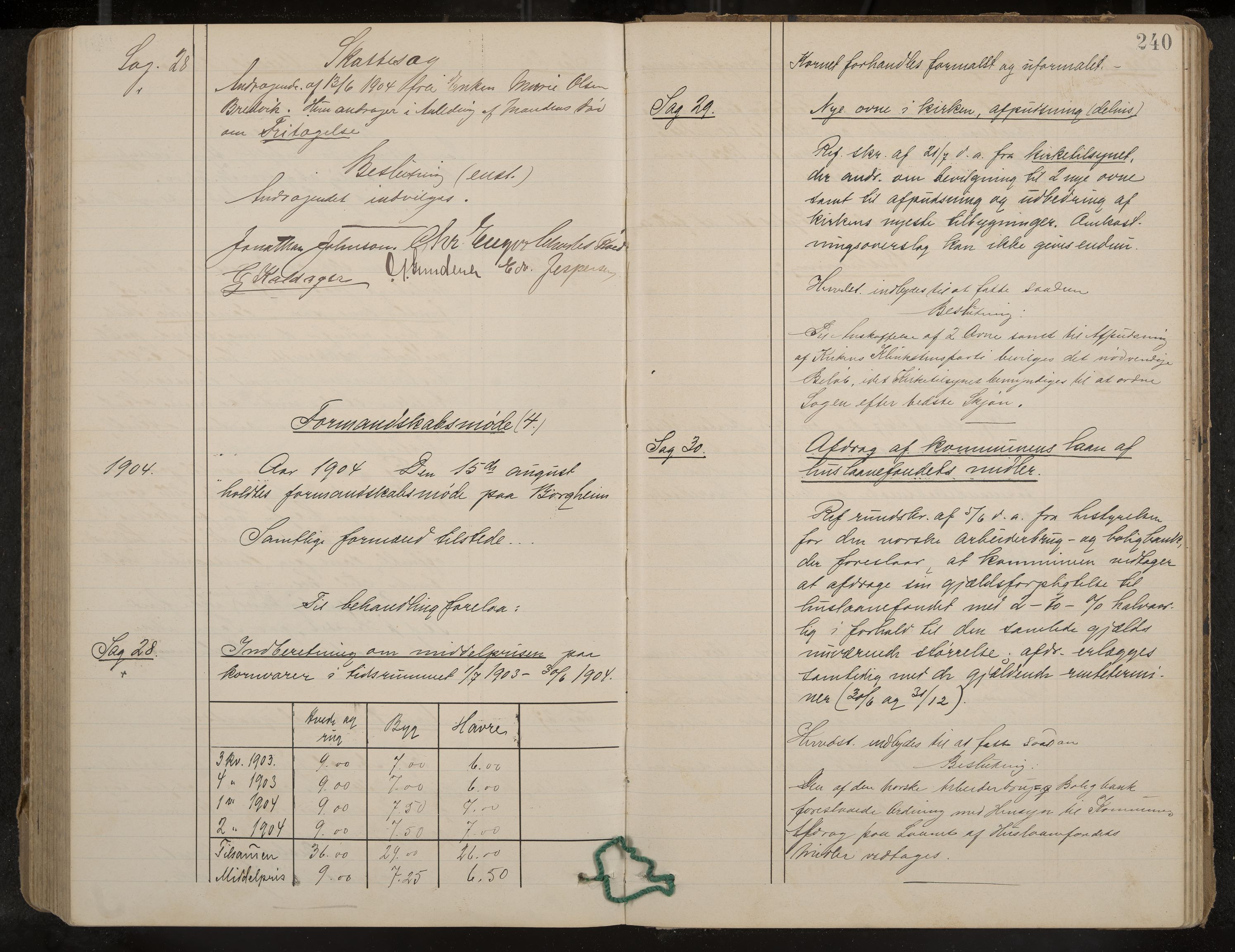 Nøtterøy formannskap og sentraladministrasjon, IKAK/0722021-1/A/Aa/L0005: Møtebok med register, 1896-1905, p. 240