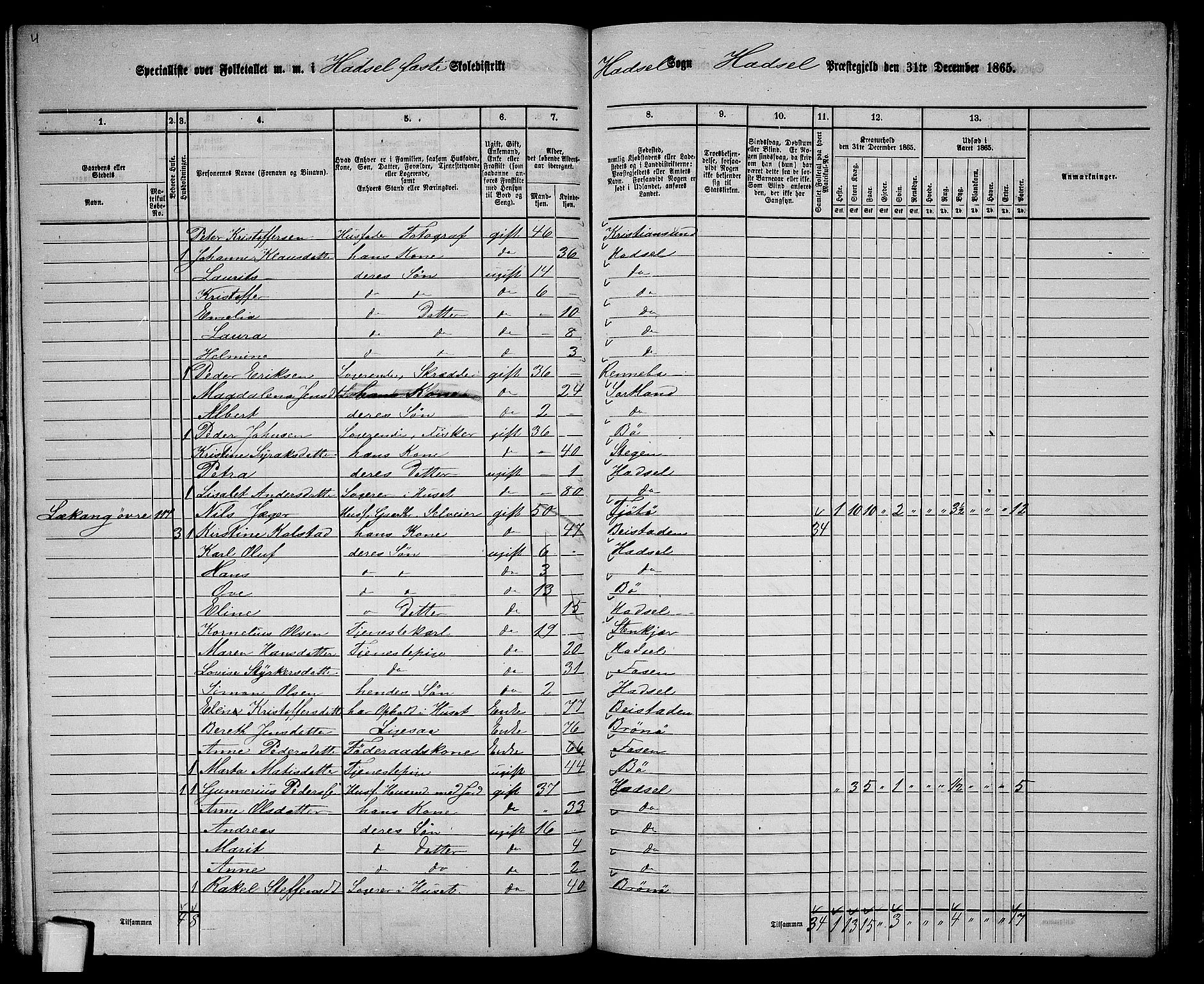 RA, 1865 census for Hadsel, 1865, p. 113