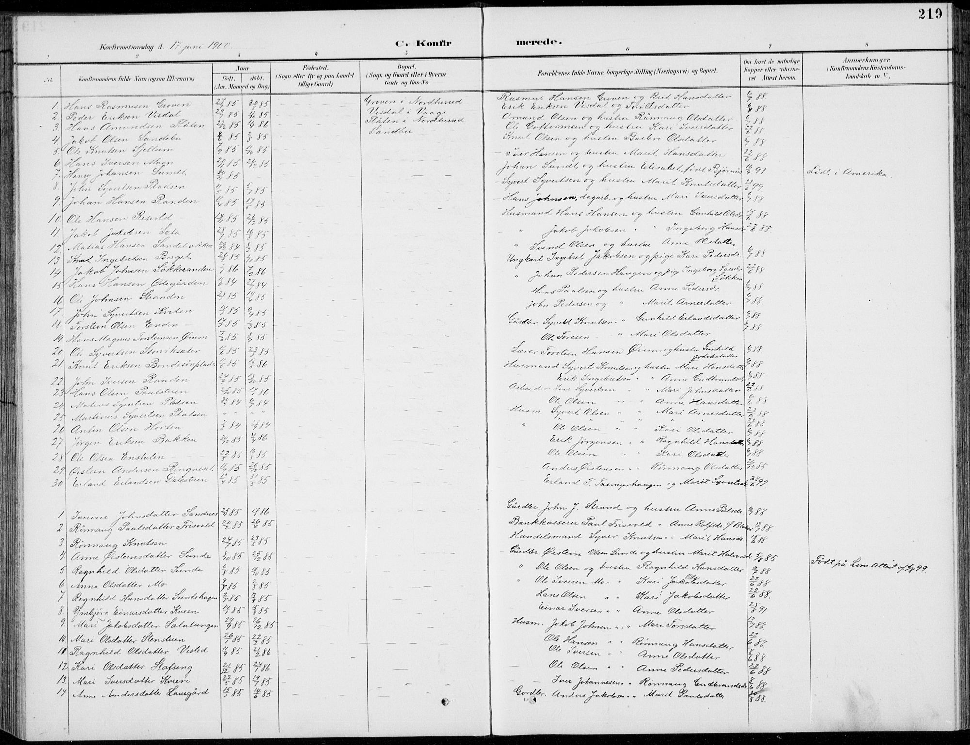 Vågå prestekontor, SAH/PREST-076/H/Ha/Hab/L0002: Parish register (copy) no. 2, 1894-1939, p. 219