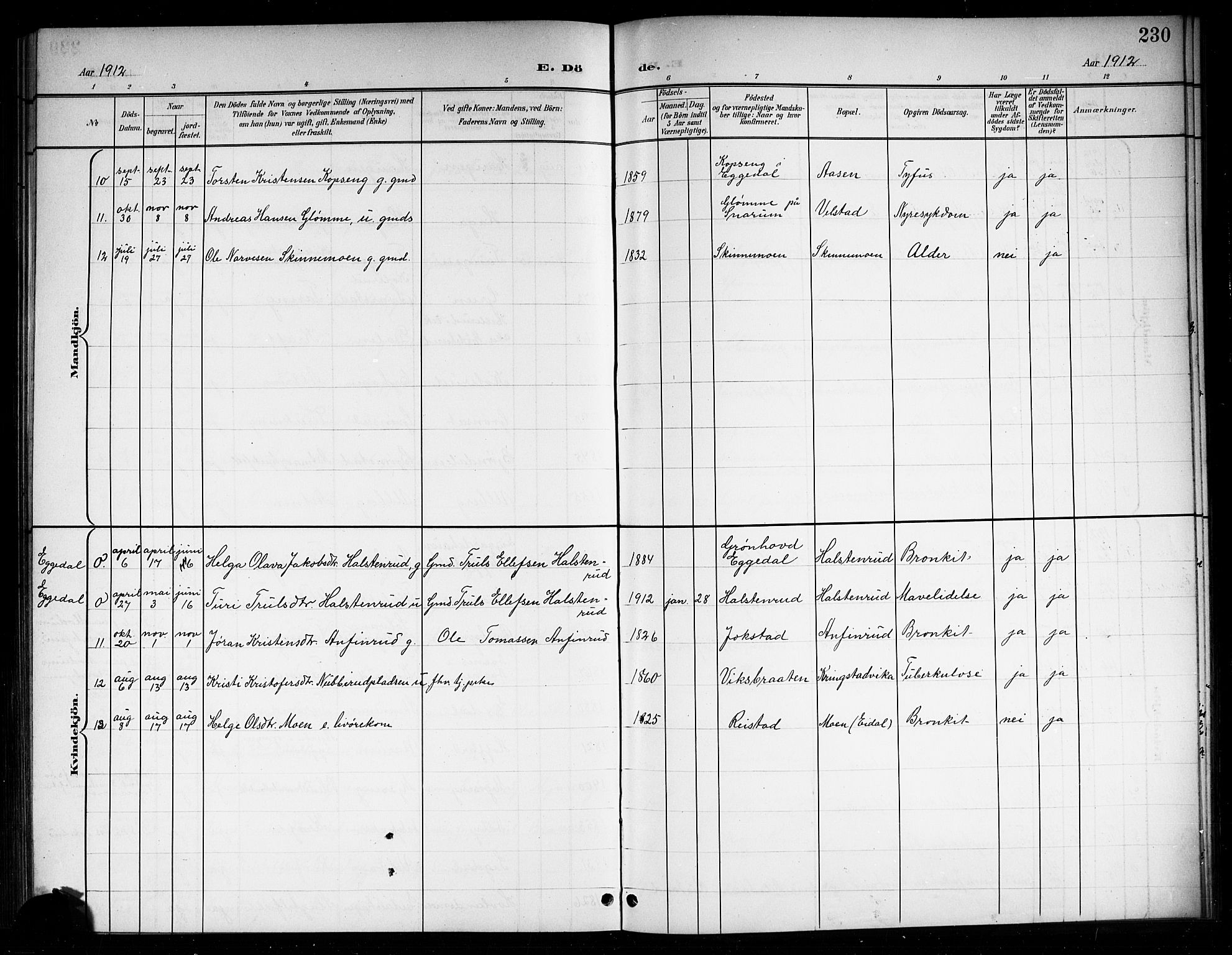 Sigdal kirkebøker, SAKO/A-245/G/Ga/L0006: Parish register (copy) no. I 6, 1901-1916, p. 230