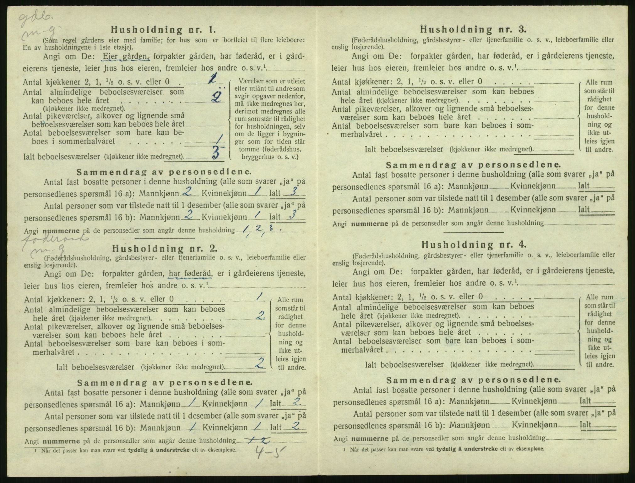 SAT, 1920 census for Sande (MR), 1920, p. 393