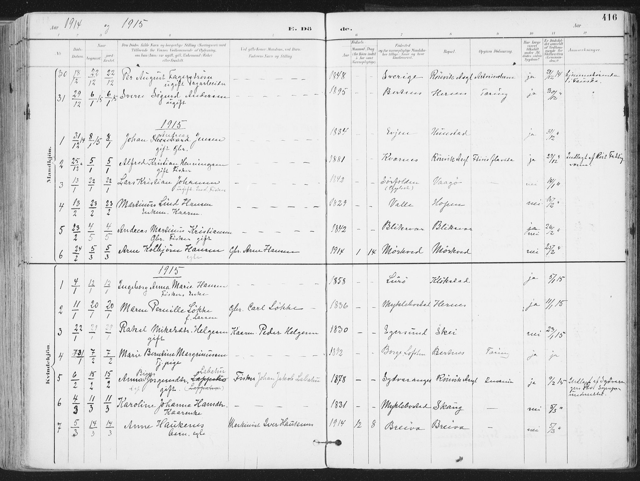 Ministerialprotokoller, klokkerbøker og fødselsregistre - Nordland, AV/SAT-A-1459/802/L0055: Parish register (official) no. 802A02, 1894-1915, p. 416