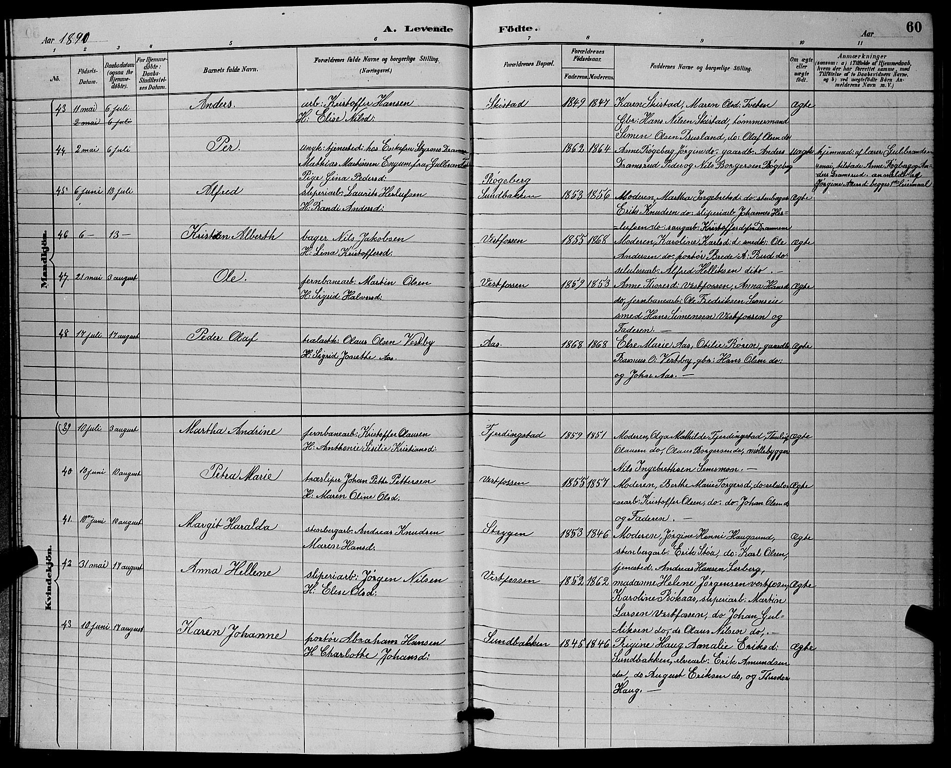 Eiker kirkebøker, AV/SAKO-A-4/G/Ga/L0006: Parish register (copy) no. I 6, 1885-1893, p. 60