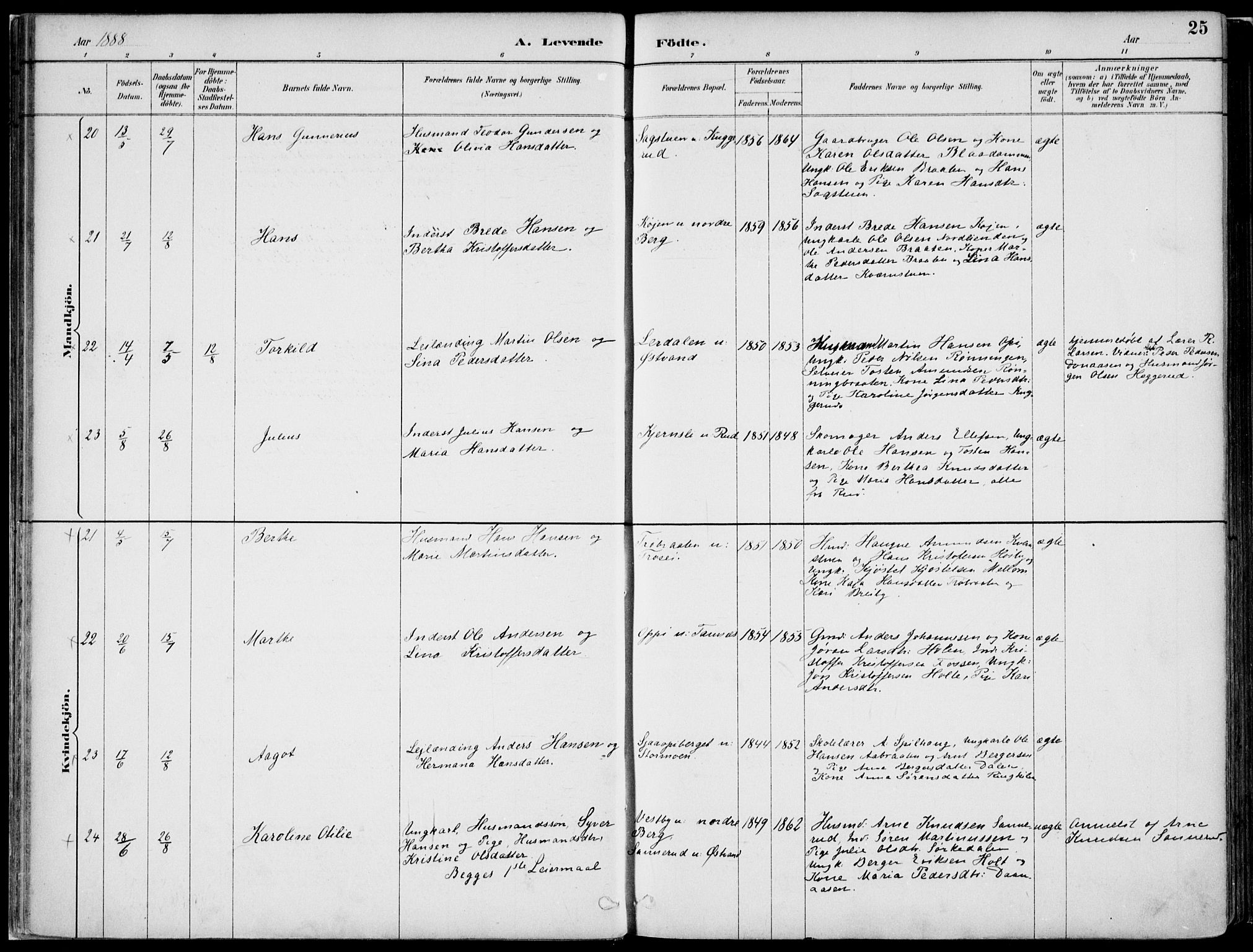 Nord-Odal prestekontor, SAH/PREST-032/H/Ha/Haa/L0008: Parish register (official) no. 8, 1886-1901, p. 25