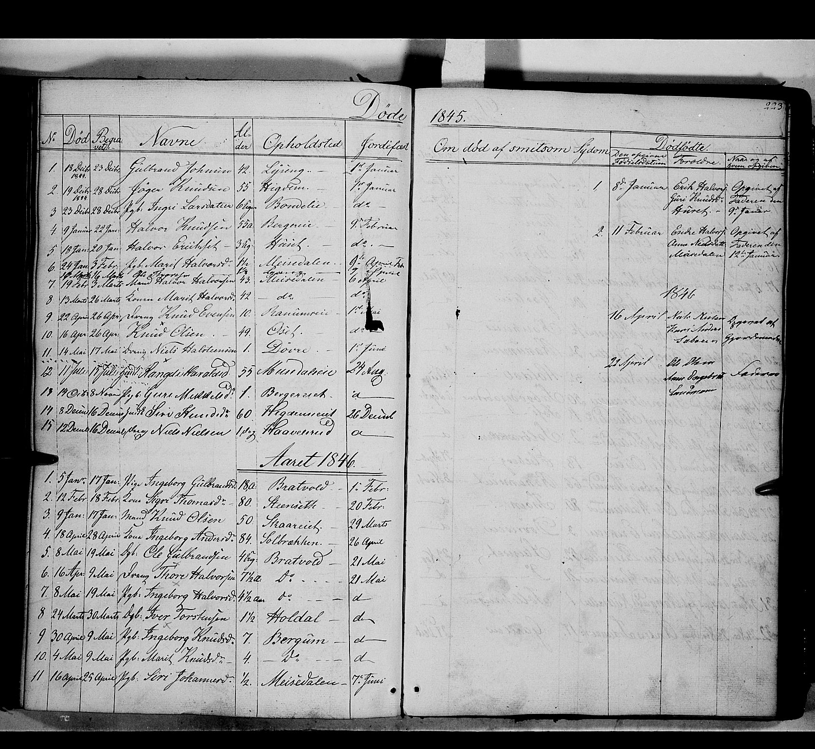 Nord-Aurdal prestekontor, SAH/PREST-132/H/Ha/Haa/L0007: Parish register (official) no. 7, 1842-1863, p. 223