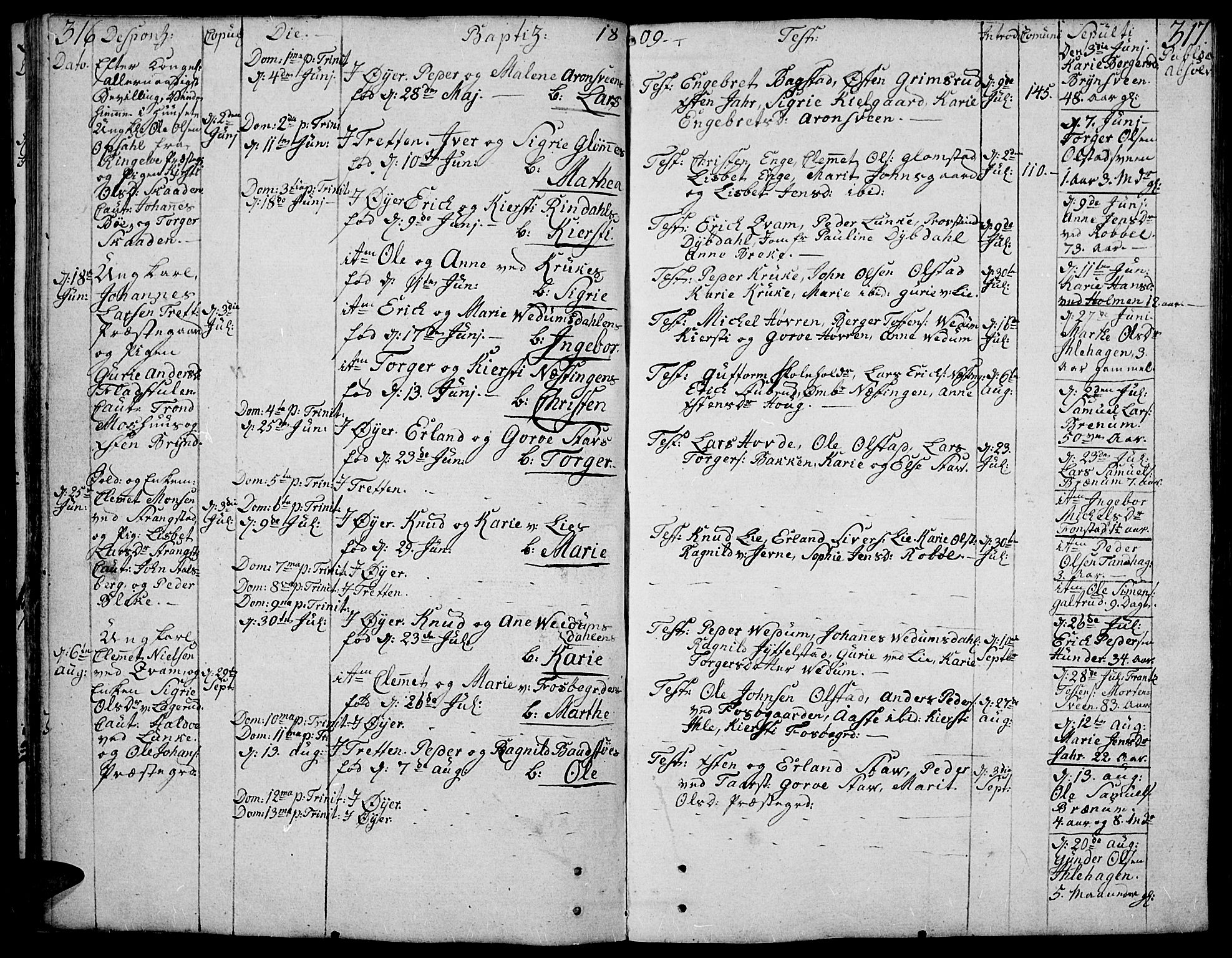Øyer prestekontor, SAH/PREST-084/H/Ha/Haa/L0003: Parish register (official) no. 3, 1784-1824, p. 316-317