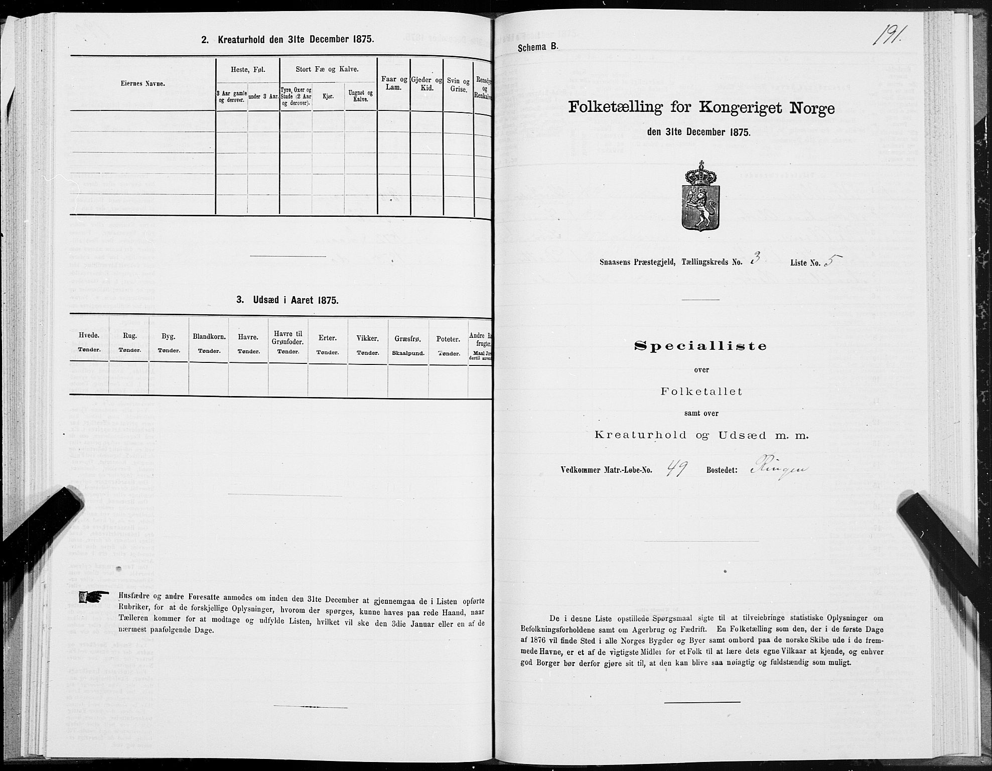 SAT, 1875 census for 1736P Snåsa, 1875, p. 1191