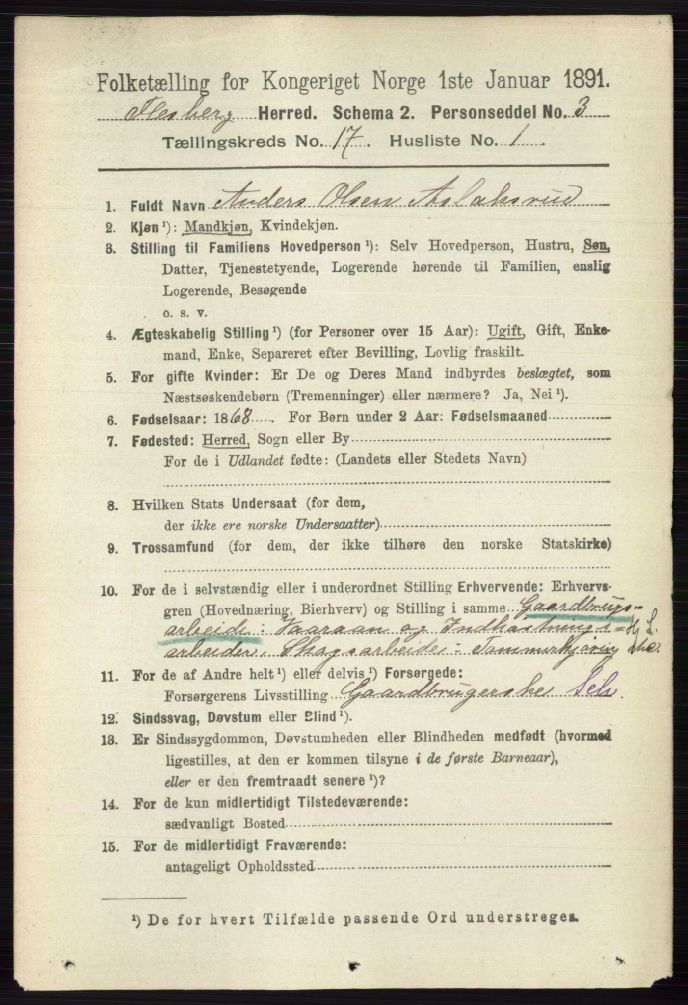 RA, 1891 census for 0631 Flesberg, 1891, p. 2989