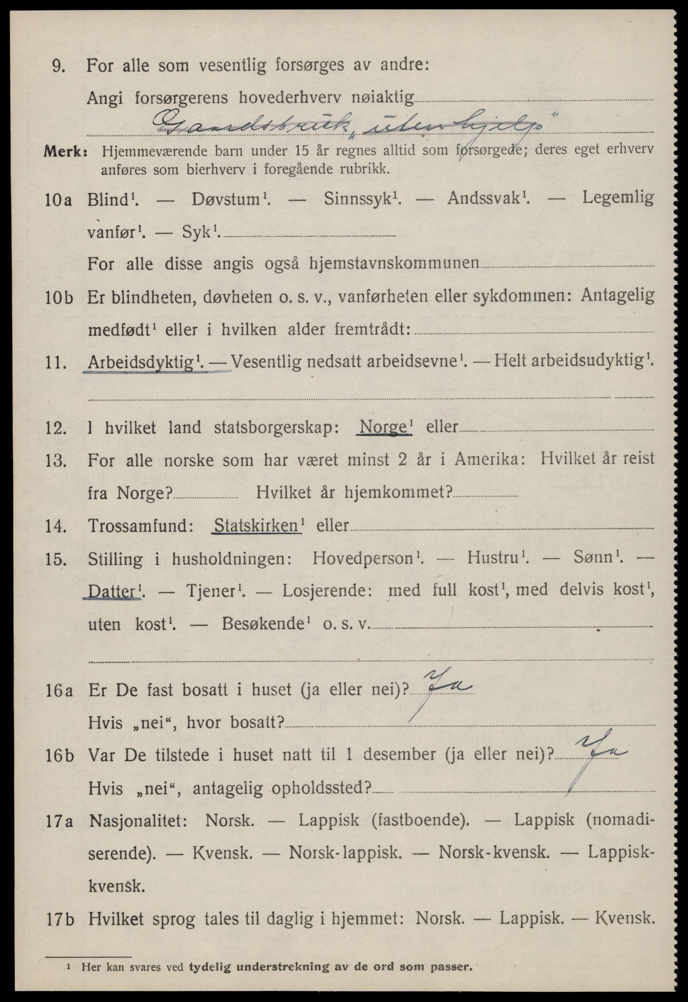 SAT, 1920 census for Hemne, 1920, p. 1813