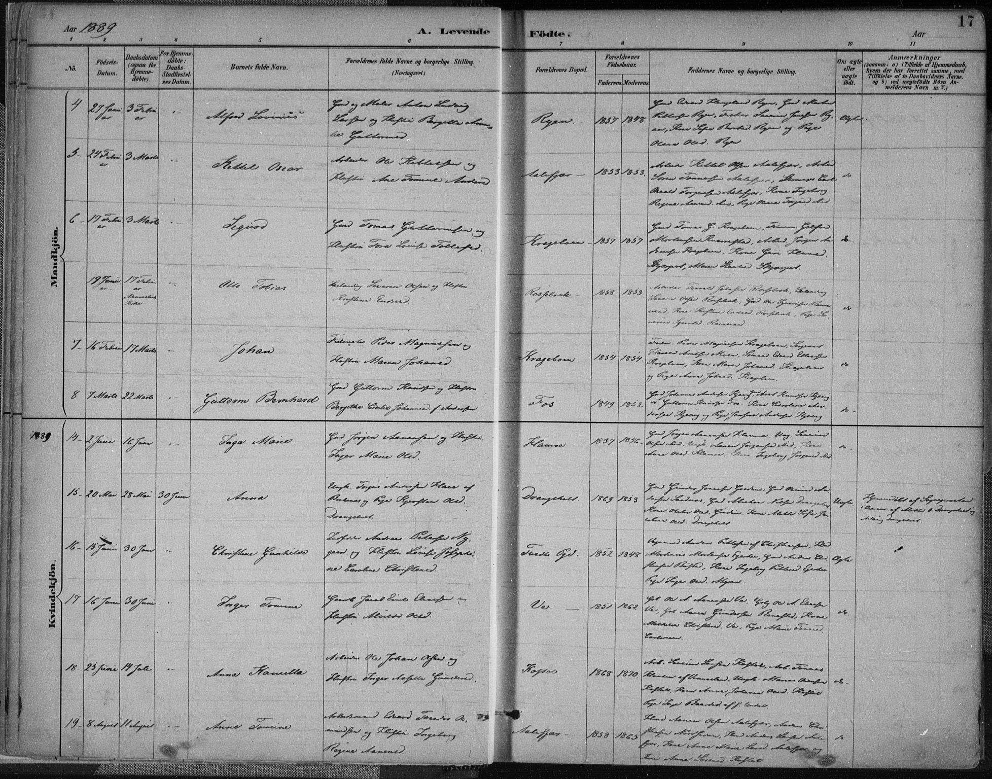 Tveit sokneprestkontor, SAK/1111-0043/F/Fa/L0007: Parish register (official) no. A 7, 1887-1908, p. 17