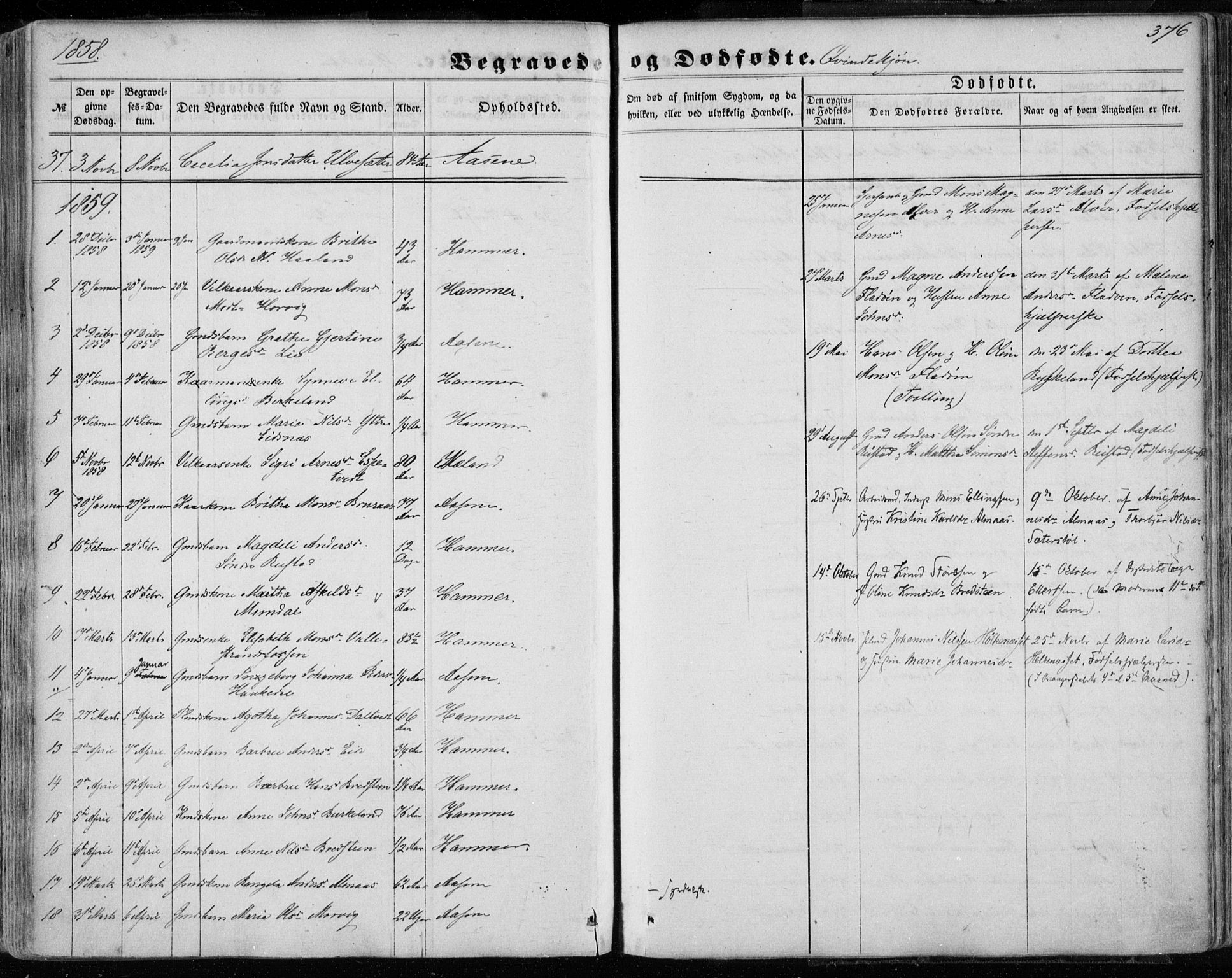 Hamre sokneprestembete, SAB/A-75501/H/Ha/Haa/Haaa/L0014: Parish register (official) no. A 14, 1858-1872, p. 376
