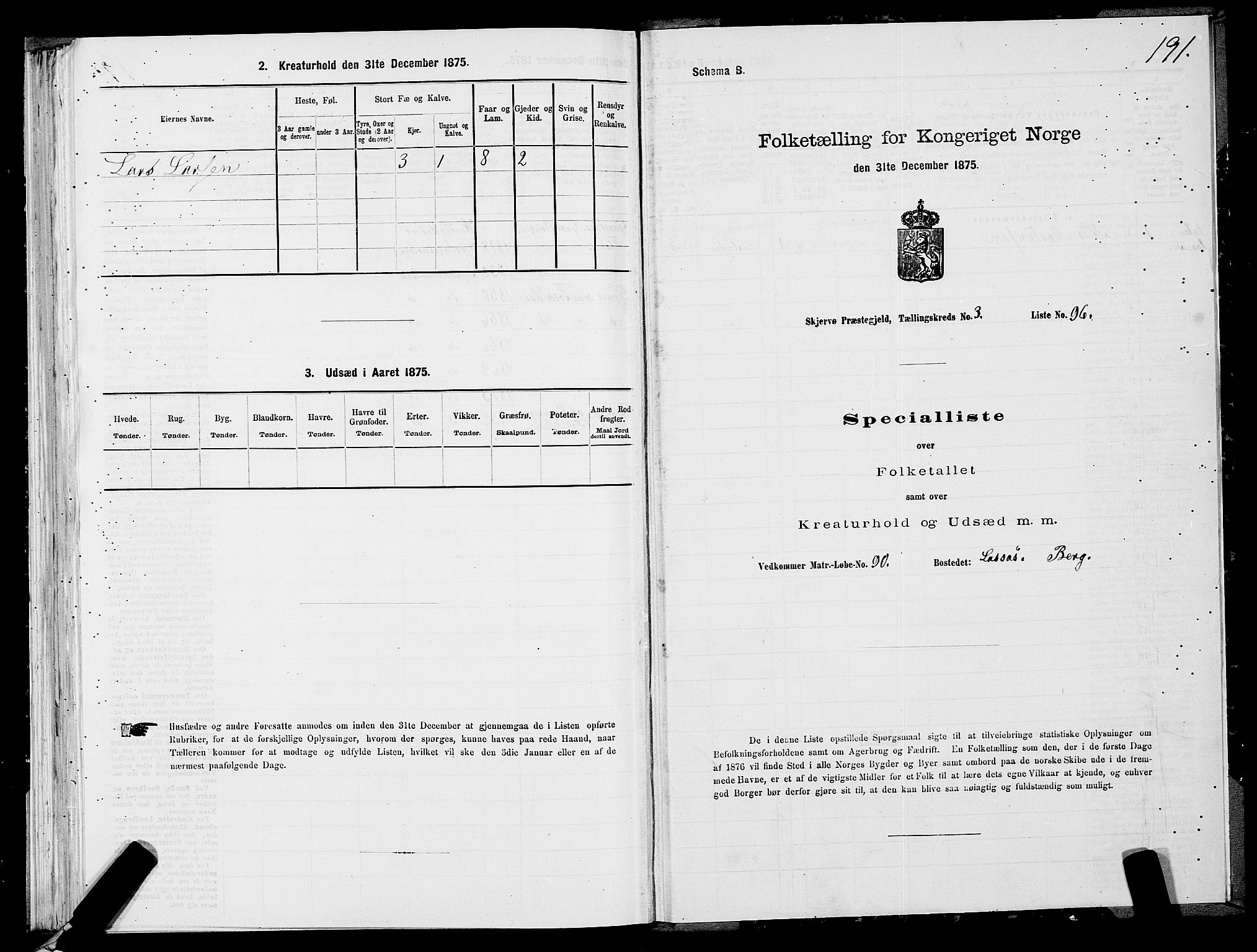 SATØ, 1875 census for 1941P Skjervøy, 1875, p. 2191