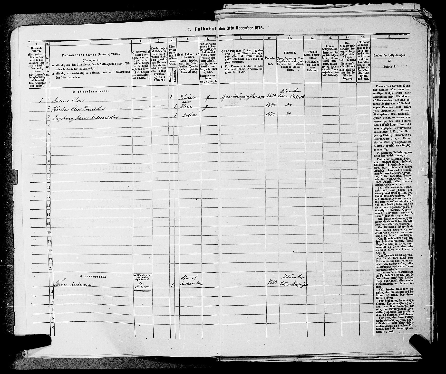 SAKO, 1875 census for 0818P Solum, 1875, p. 1466