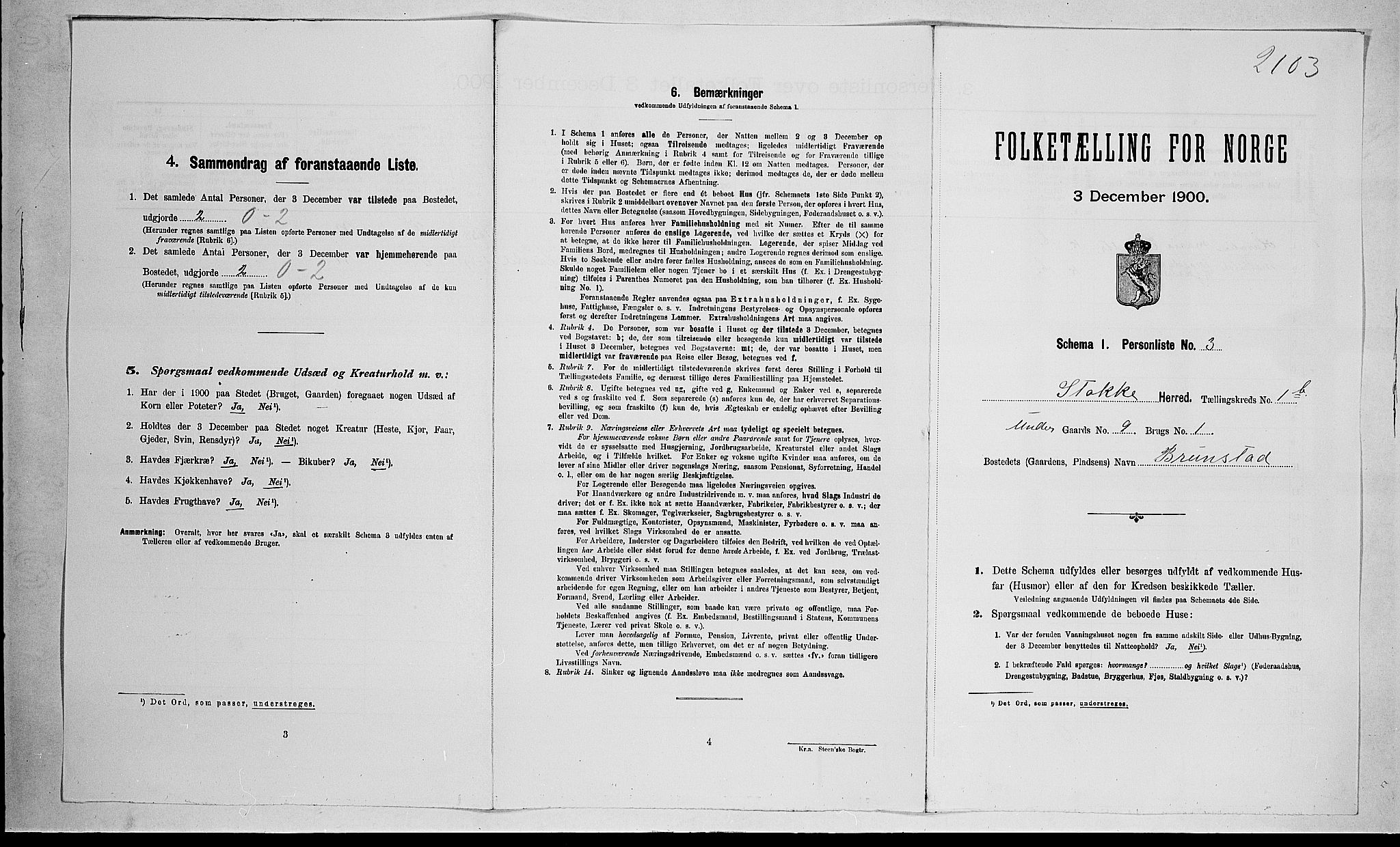 RA, 1900 census for Stokke, 1900, p. 245