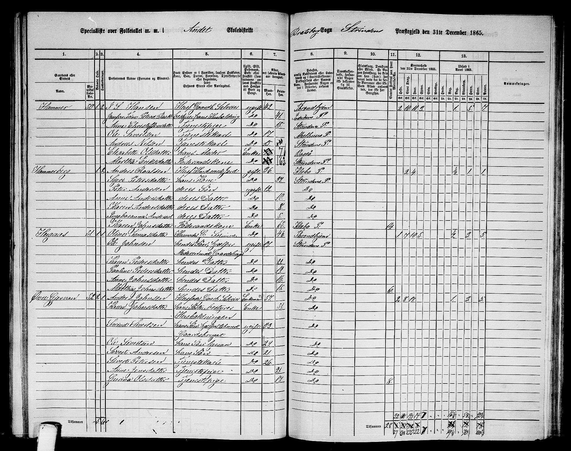 RA, 1865 census for Strinda, 1865, p. 183