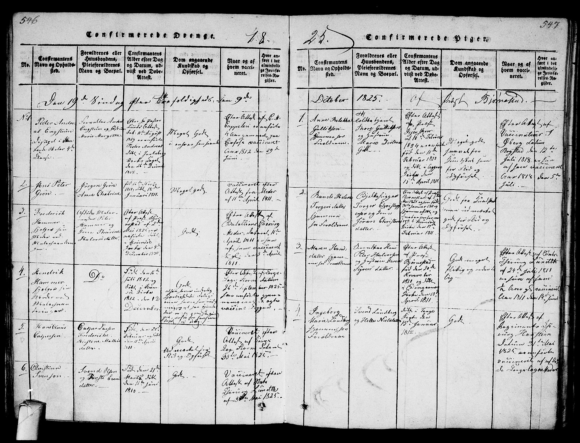 Strømsø kirkebøker, SAKO/A-246/G/Ga/L0001: Parish register (copy) no. 1, 1815-1829, p. 546-547