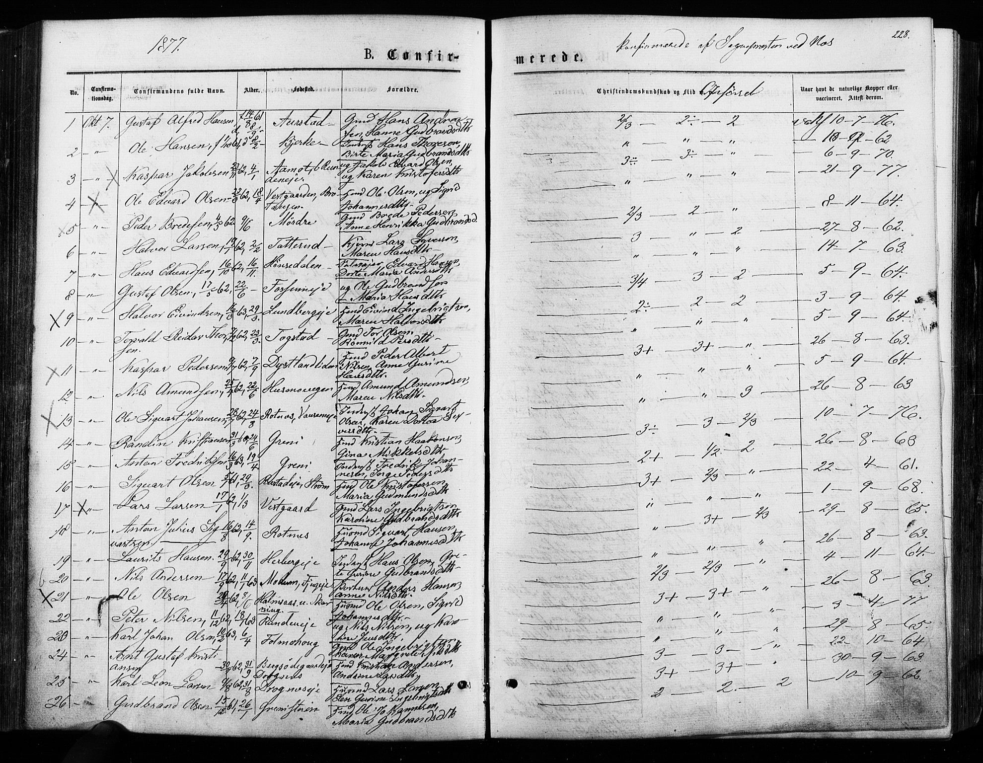 Nes prestekontor Kirkebøker, SAO/A-10410/F/Fa/L0009: Parish register (official) no. I 9, 1875-1882, p. 228