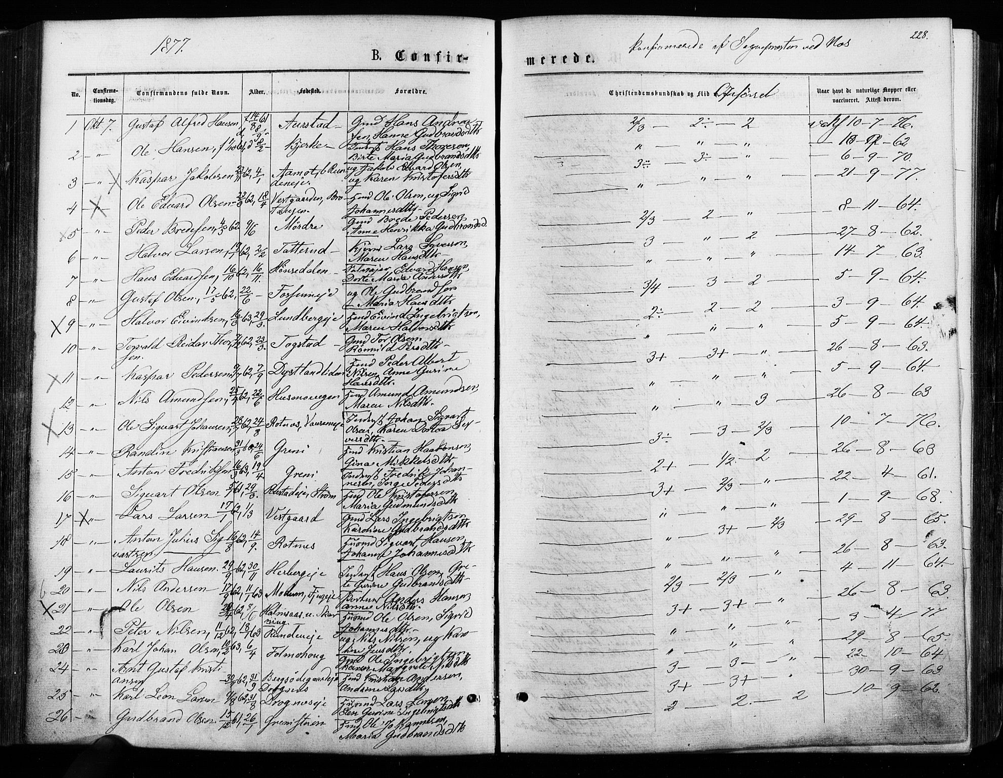 Nes prestekontor Kirkebøker, AV/SAO-A-10410/F/Fa/L0009: Parish register (official) no. I 9, 1875-1882, p. 228