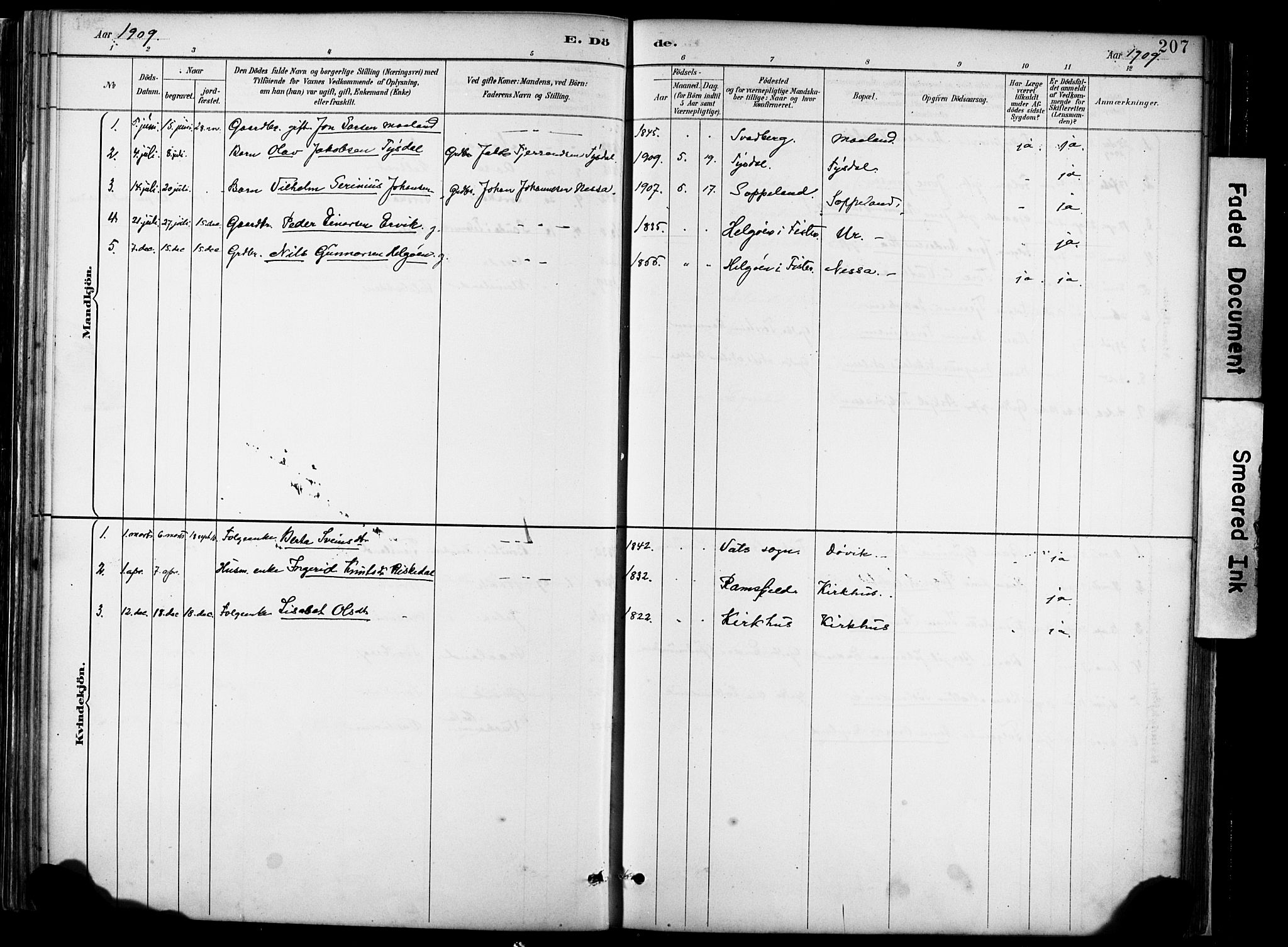 Hjelmeland sokneprestkontor, AV/SAST-A-101843/02/A/L0001: Parish register (official) no. A 16, 1887-1926, p. 207