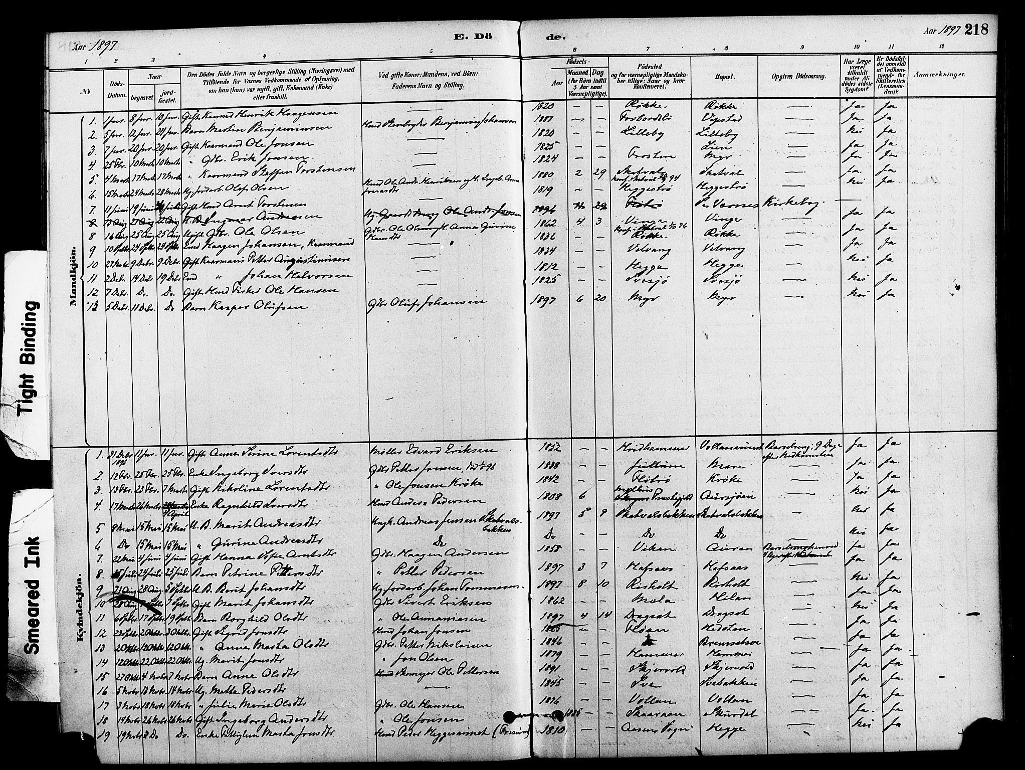 Ministerialprotokoller, klokkerbøker og fødselsregistre - Nord-Trøndelag, SAT/A-1458/712/L0100: Parish register (official) no. 712A01, 1880-1900, p. 218