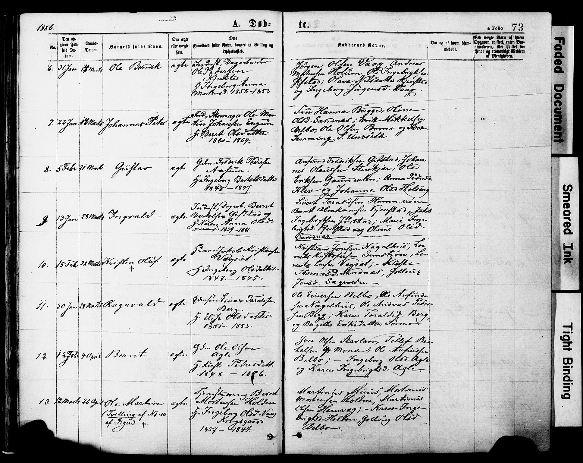 Ministerialprotokoller, klokkerbøker og fødselsregistre - Nord-Trøndelag, AV/SAT-A-1458/749/L0473: Parish register (official) no. 749A07, 1873-1887, p. 73