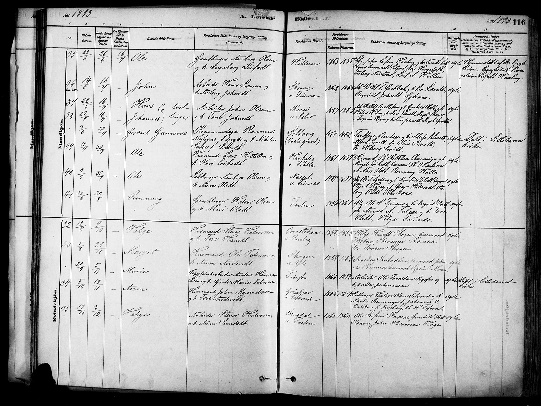 Heddal kirkebøker, AV/SAKO-A-268/F/Fa/L0008: Parish register (official) no. I 8, 1878-1903, p. 116