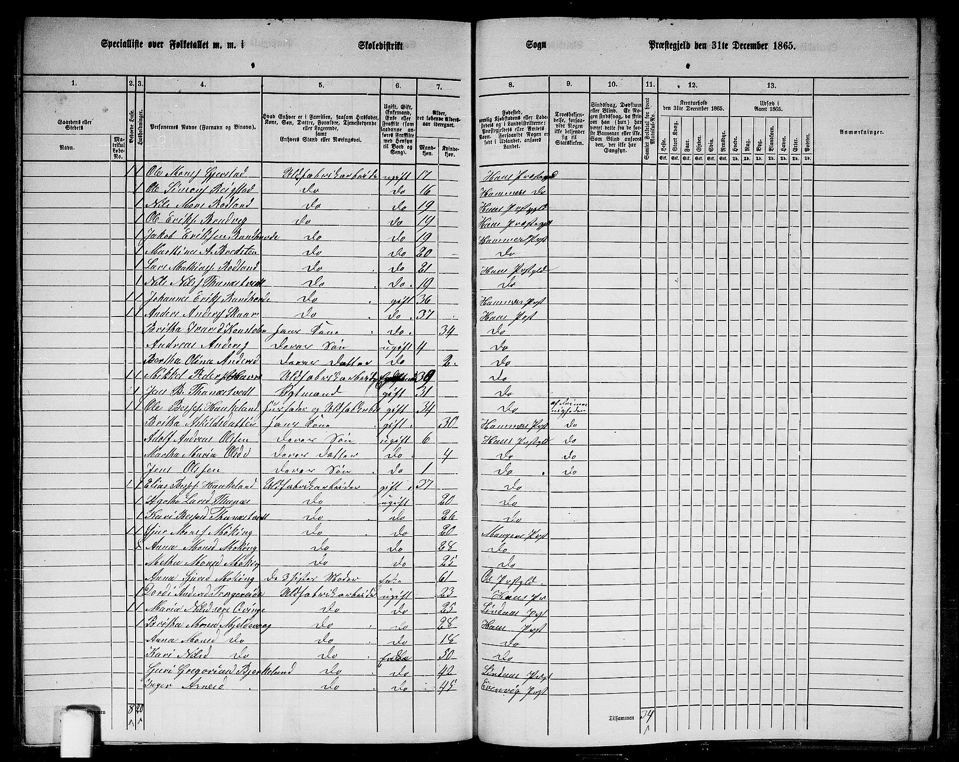 RA, 1865 census for Haus, 1865, p. 260