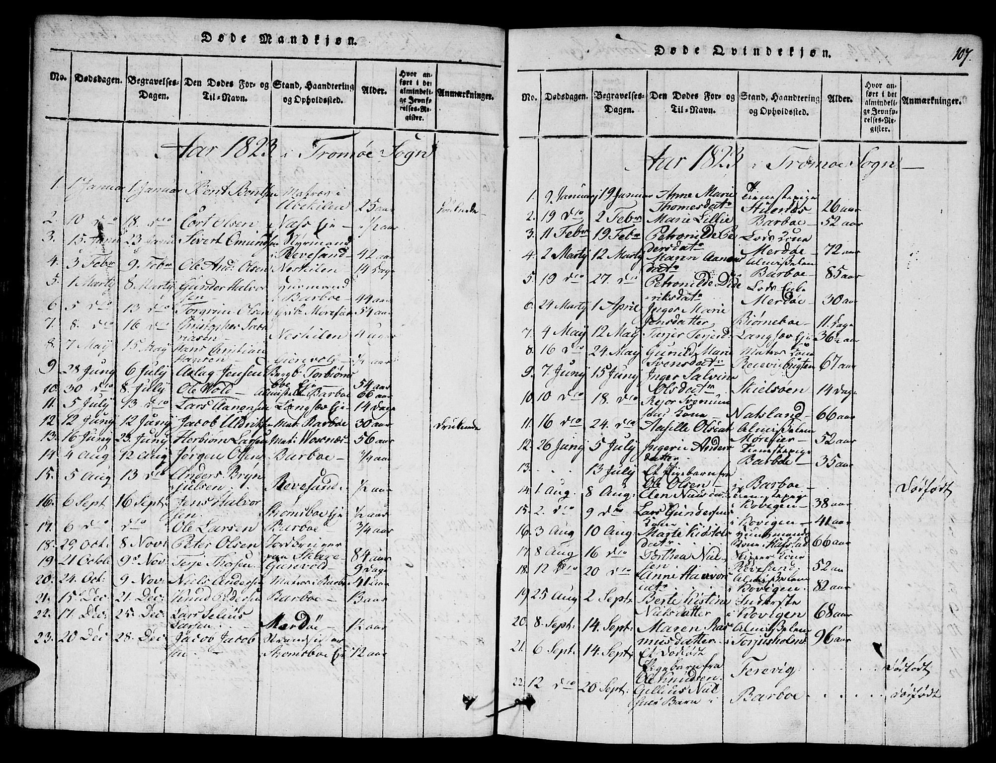 Austre Moland sokneprestkontor, SAK/1111-0001/F/Fa/Faa/L0004: Parish register (official) no. A 4, 1816-1824, p. 107