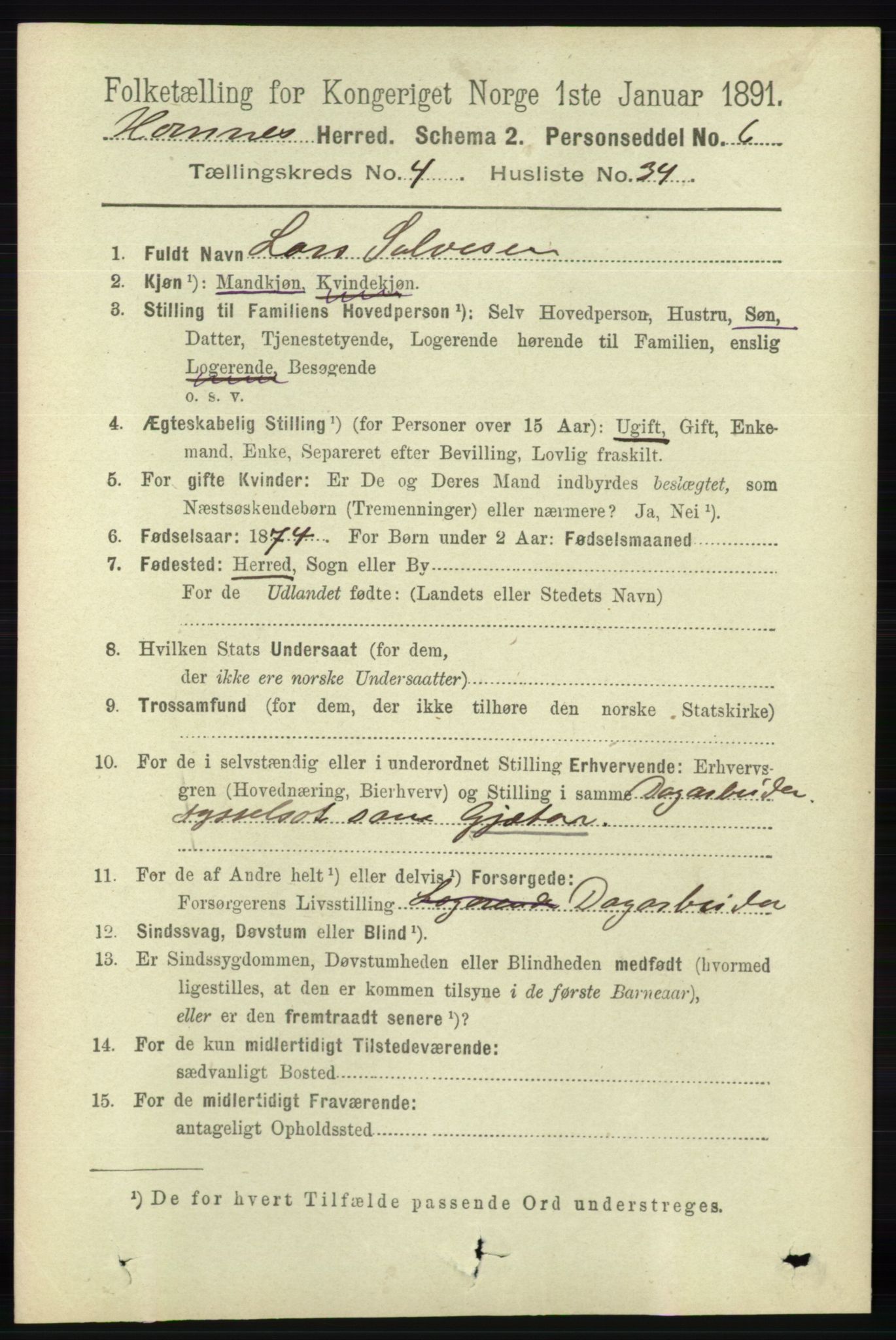 RA, 1891 census for 0936 Hornnes, 1891, p. 1319