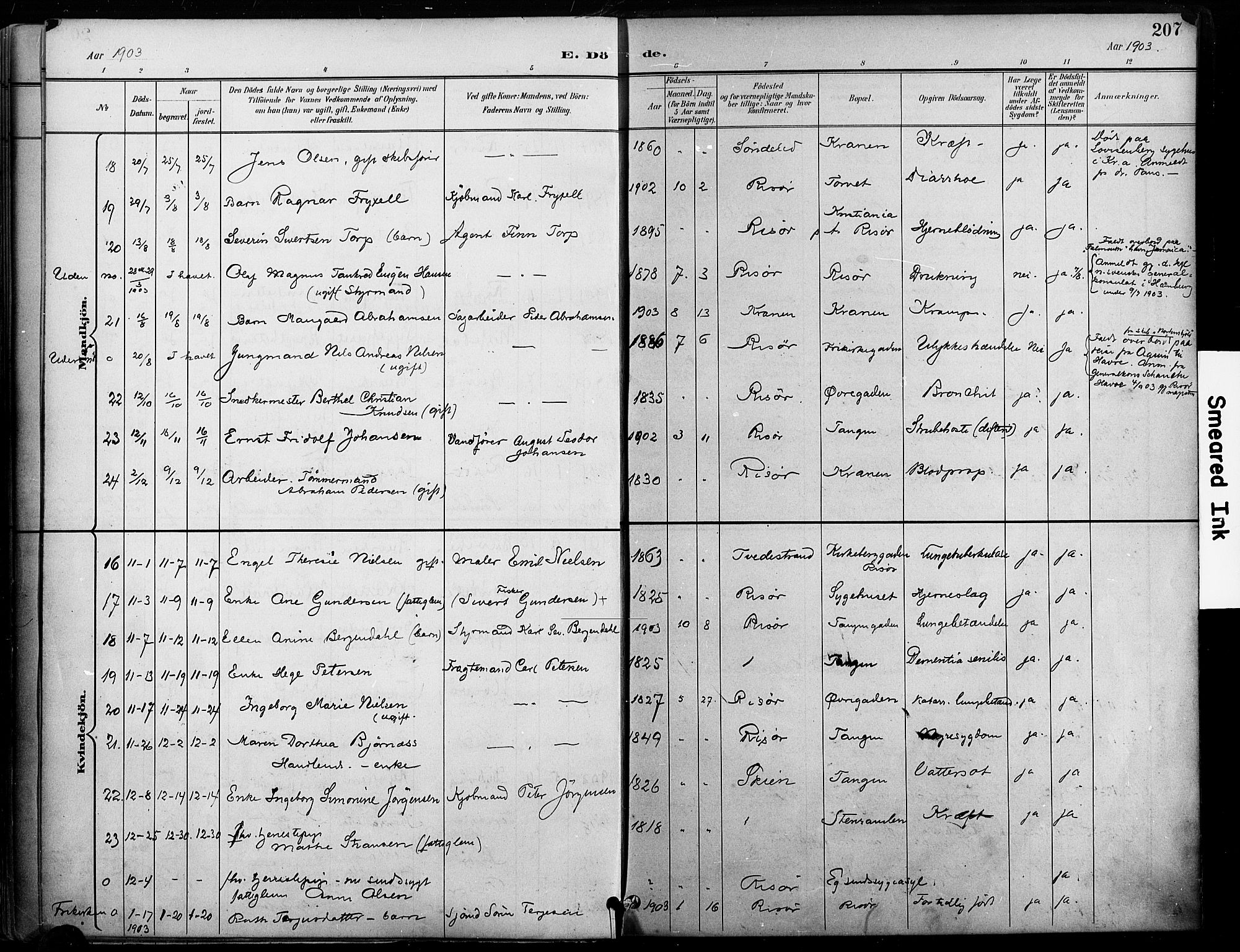 Risør sokneprestkontor, AV/SAK-1111-0035/F/Fa/L0010: Parish register (official) no. A 10, 1896-1906, p. 207