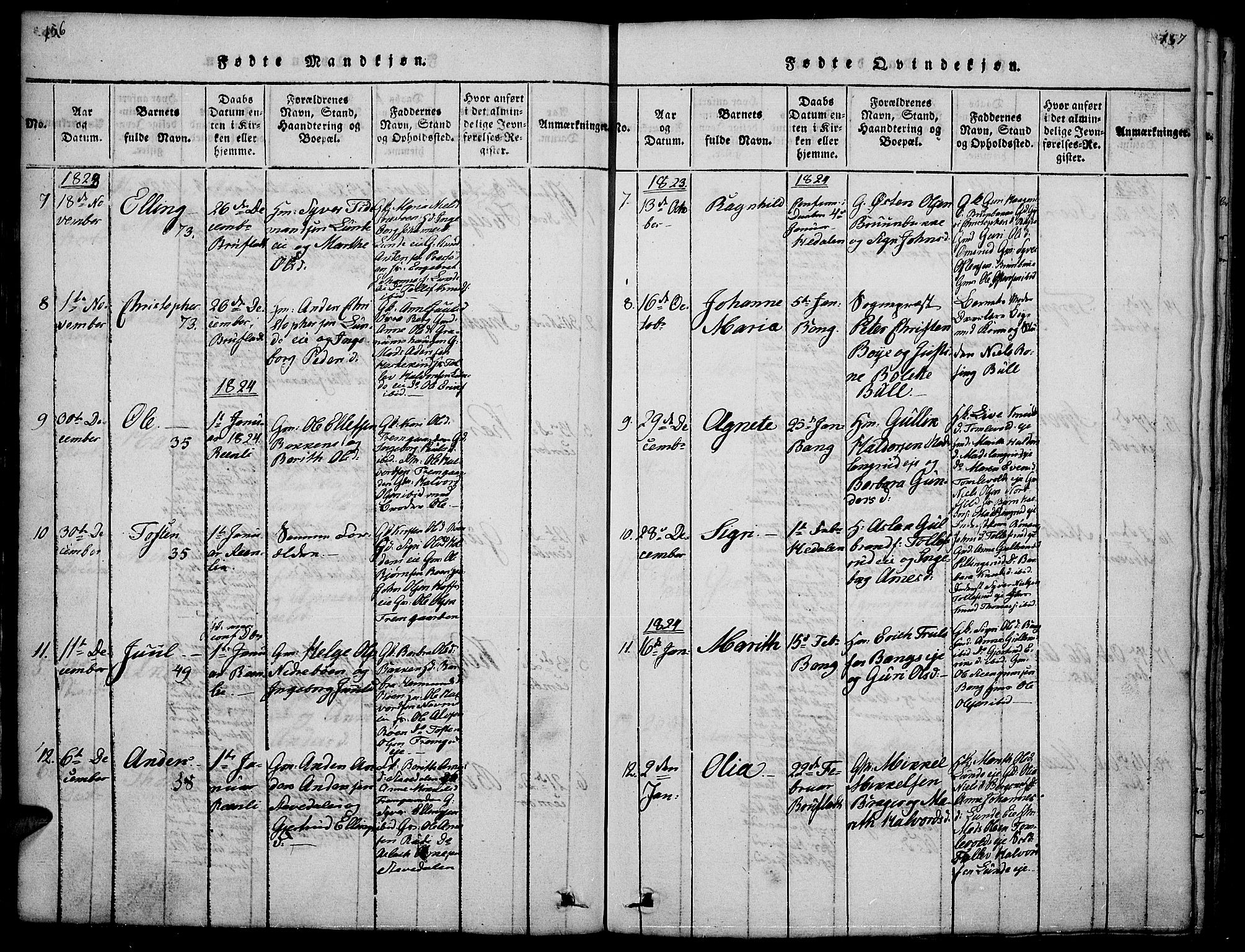 Sør-Aurdal prestekontor, SAH/PREST-128/H/Ha/Hab/L0001: Parish register (copy) no. 1, 1815-1826, p. 156-157