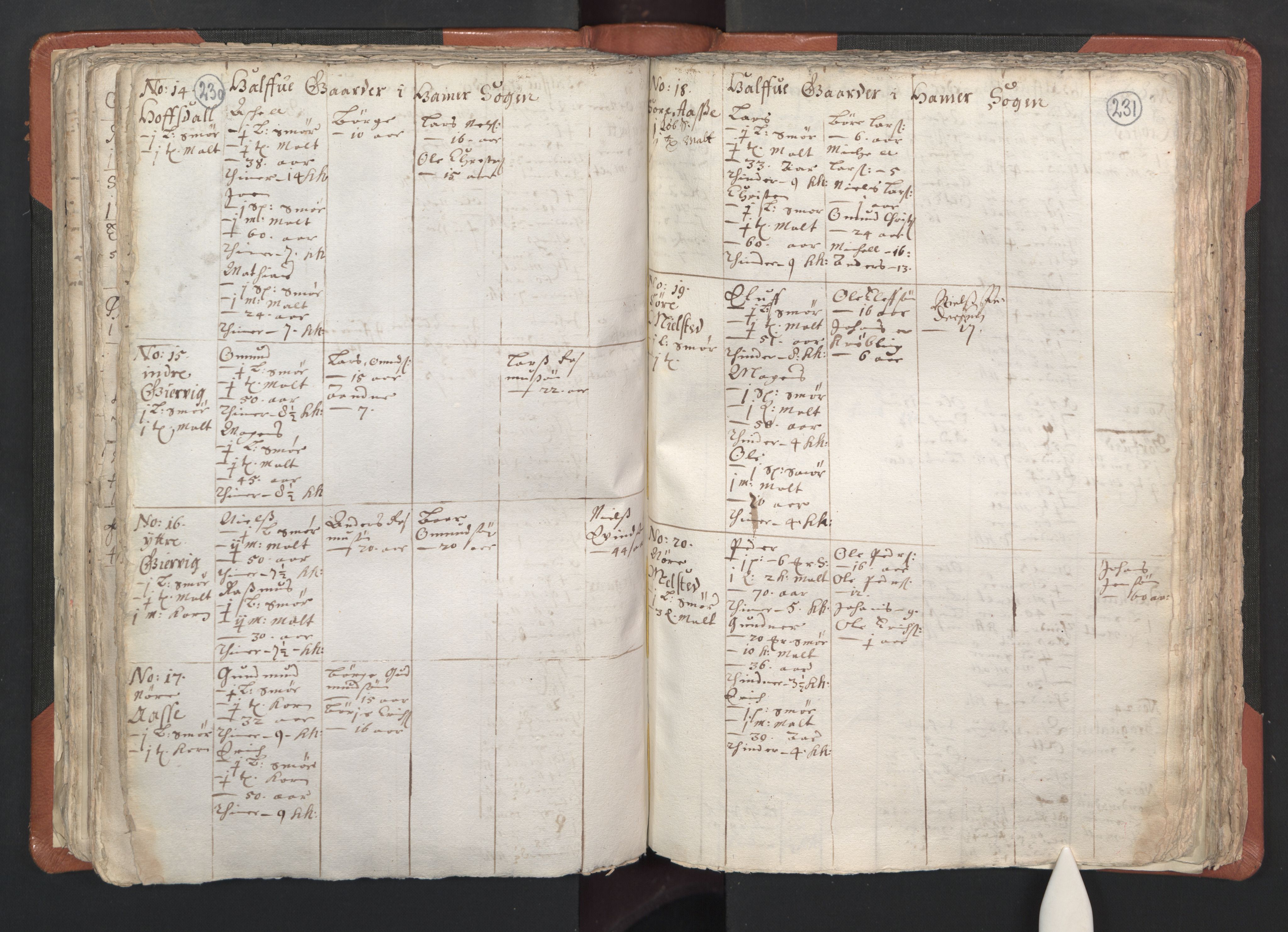 RA, Vicar's Census 1664-1666, no. 22: Nordhordland deanery, 1664-1666, p. 230-231