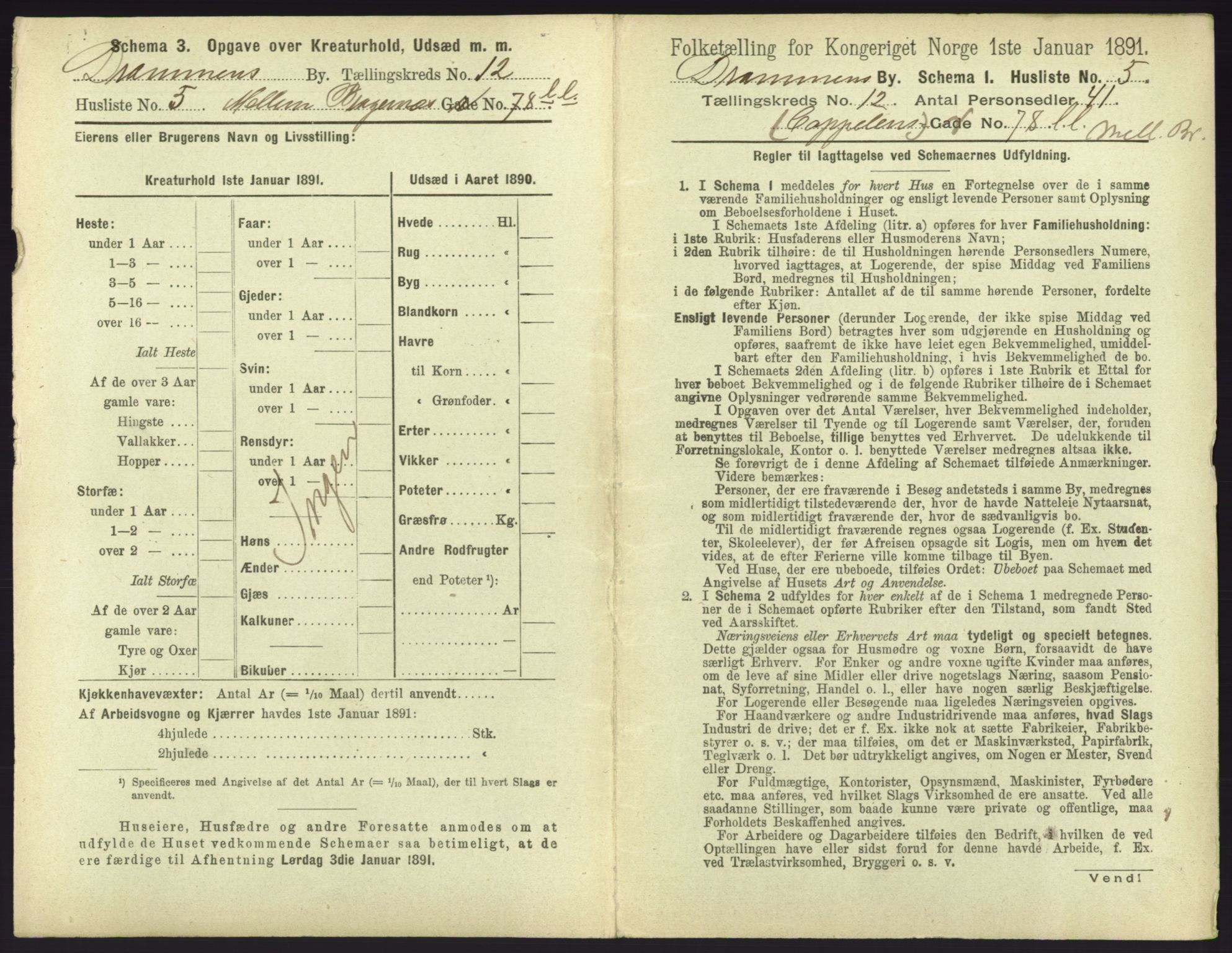 RA, 1891 census for 0602 Drammen, 1891, p. 999