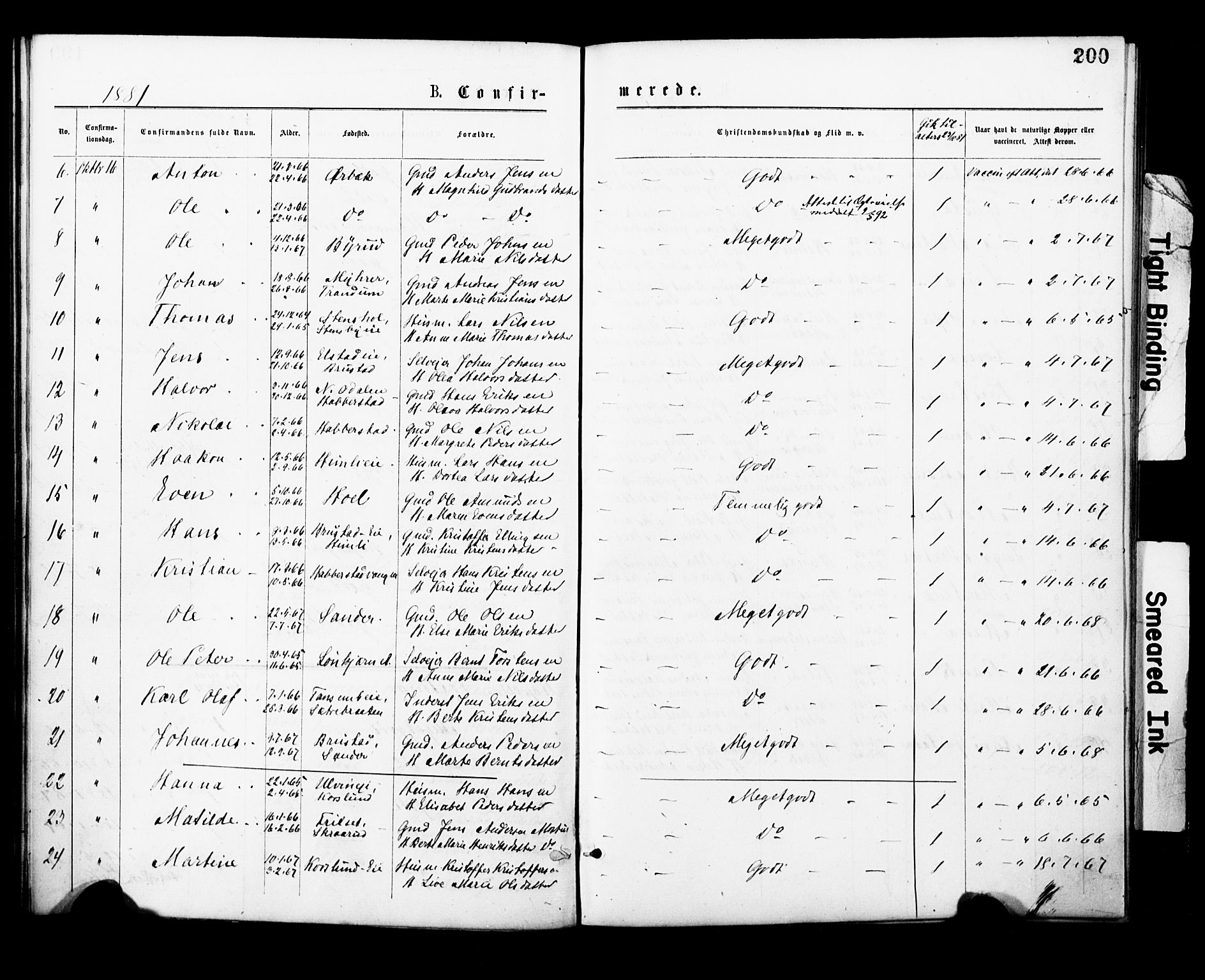 Eidsvoll prestekontor Kirkebøker, AV/SAO-A-10888/F/Fa/L0001: Parish register (official) no. I 1, 1877-1881, p. 200