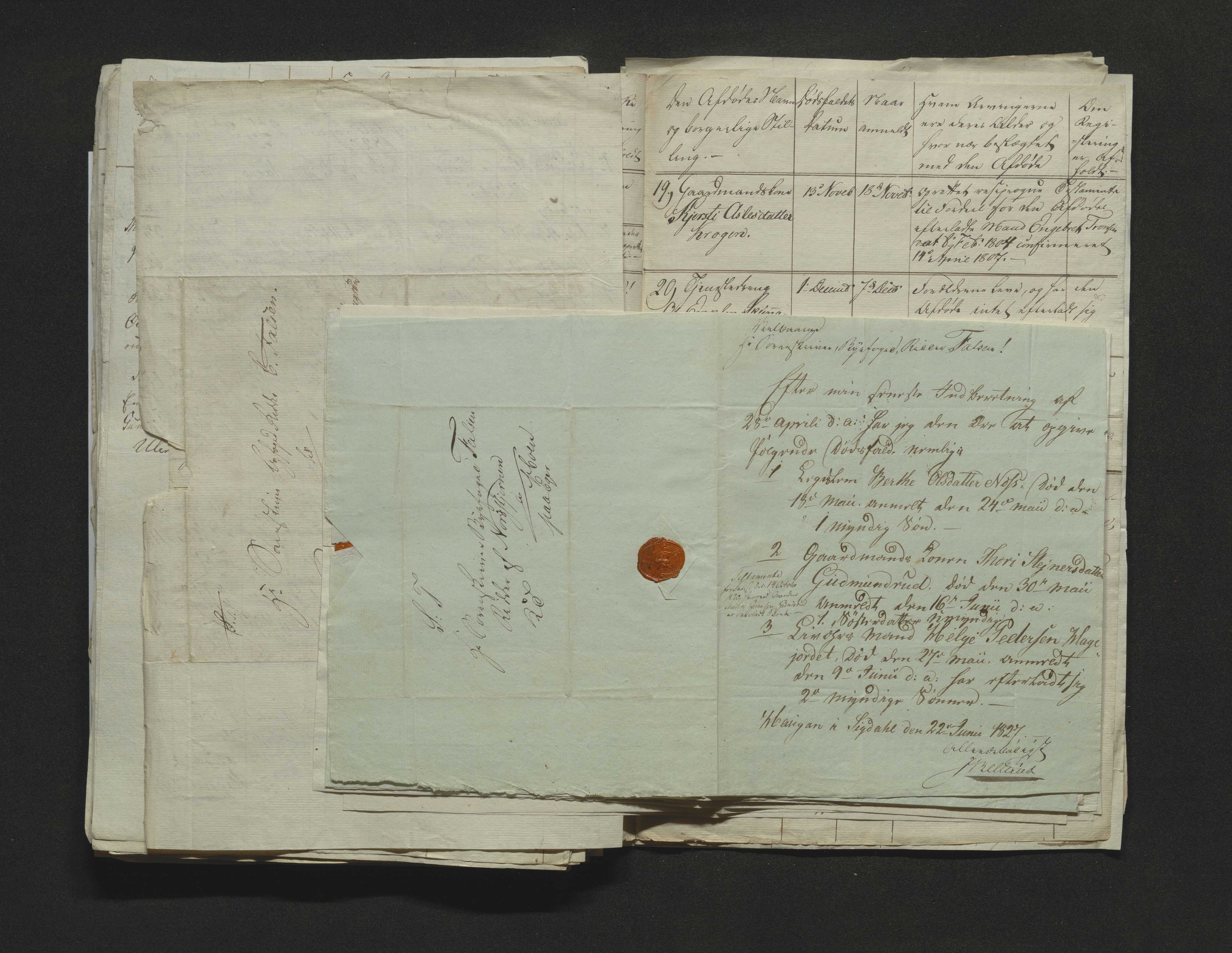 Eiker, Modum og Sigdal sorenskriveri, AV/SAKO-A-123/H/Ha/Hab/L0002: Dødsfallsmeldinger, 1823-1829, p. 215