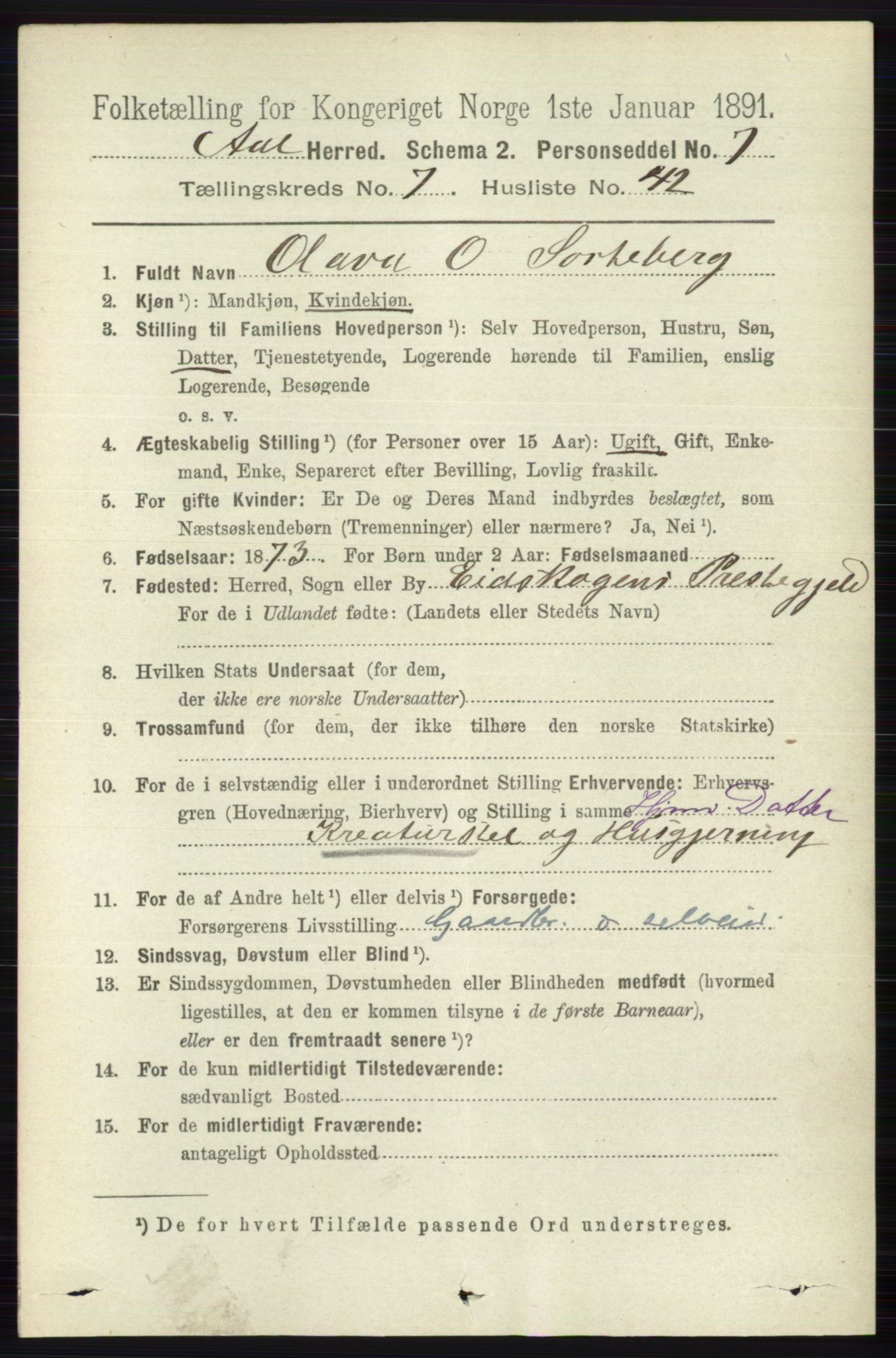 RA, 1891 census for 0619 Ål, 1891, p. 2022