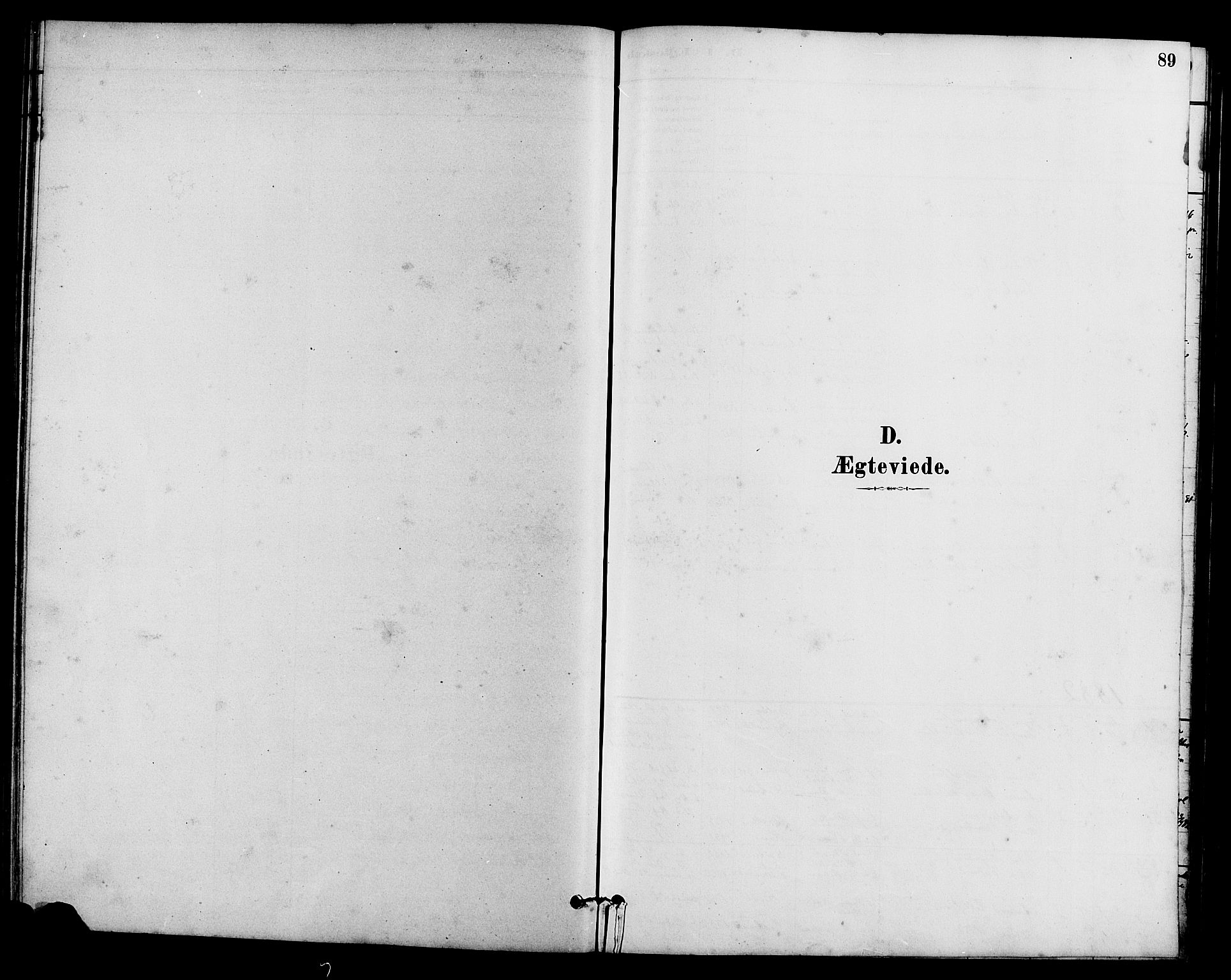 Vestre Slidre prestekontor, SAH/PREST-136/H/Ha/Hab/L0005: Parish register (copy) no. 5, 1881-1913, p. 89