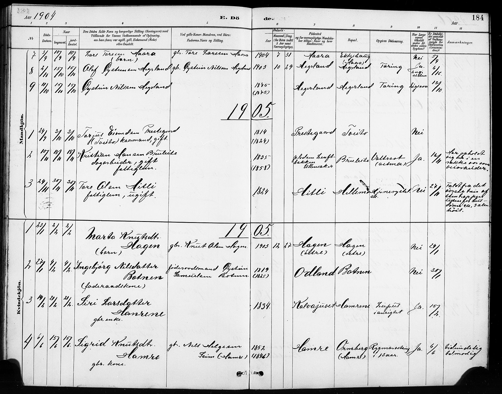 Røldal sokneprestembete, SAB/A-100247: Parish register (copy) no. A 3, 1887-1917, p. 184