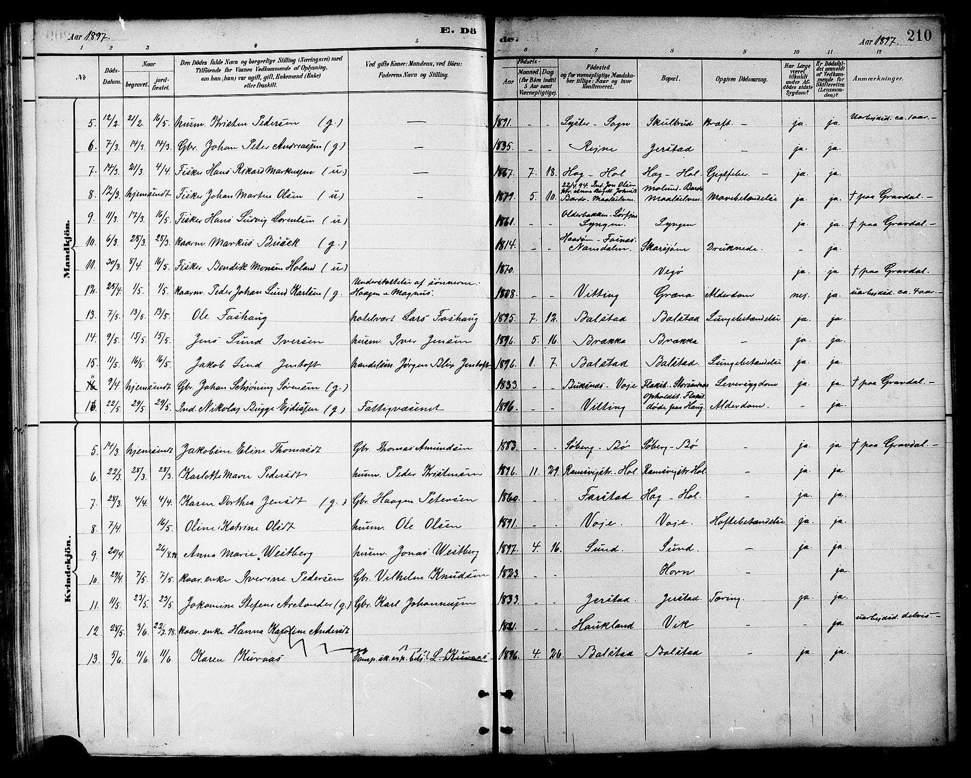 Ministerialprotokoller, klokkerbøker og fødselsregistre - Nordland, AV/SAT-A-1459/881/L1167: Parish register (copy) no. 881C04, 1886-1899, p. 210