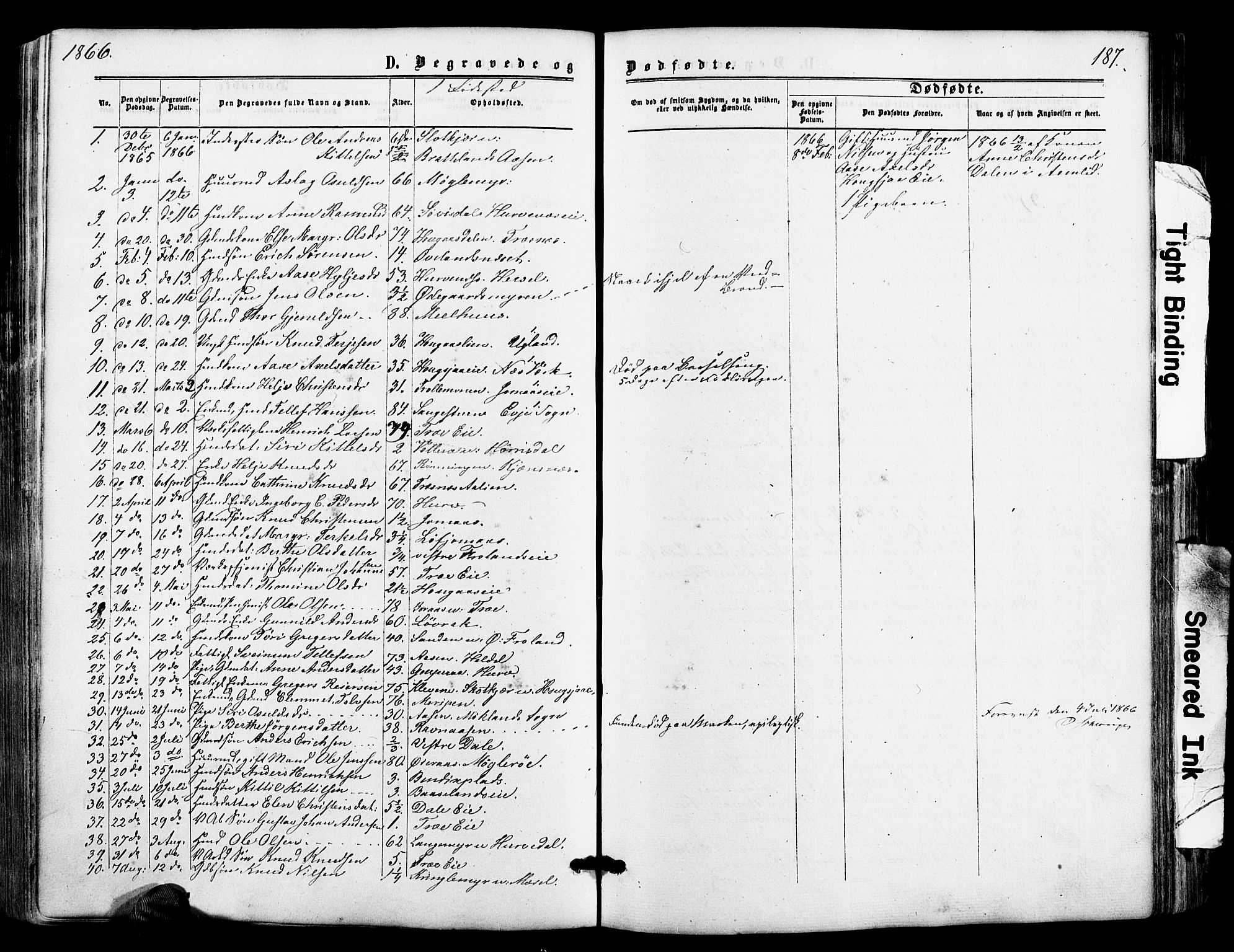 Froland sokneprestkontor, AV/SAK-1111-0013/F/Fa/L0003: Parish register (official) no. A 3, 1864-1881, p. 187