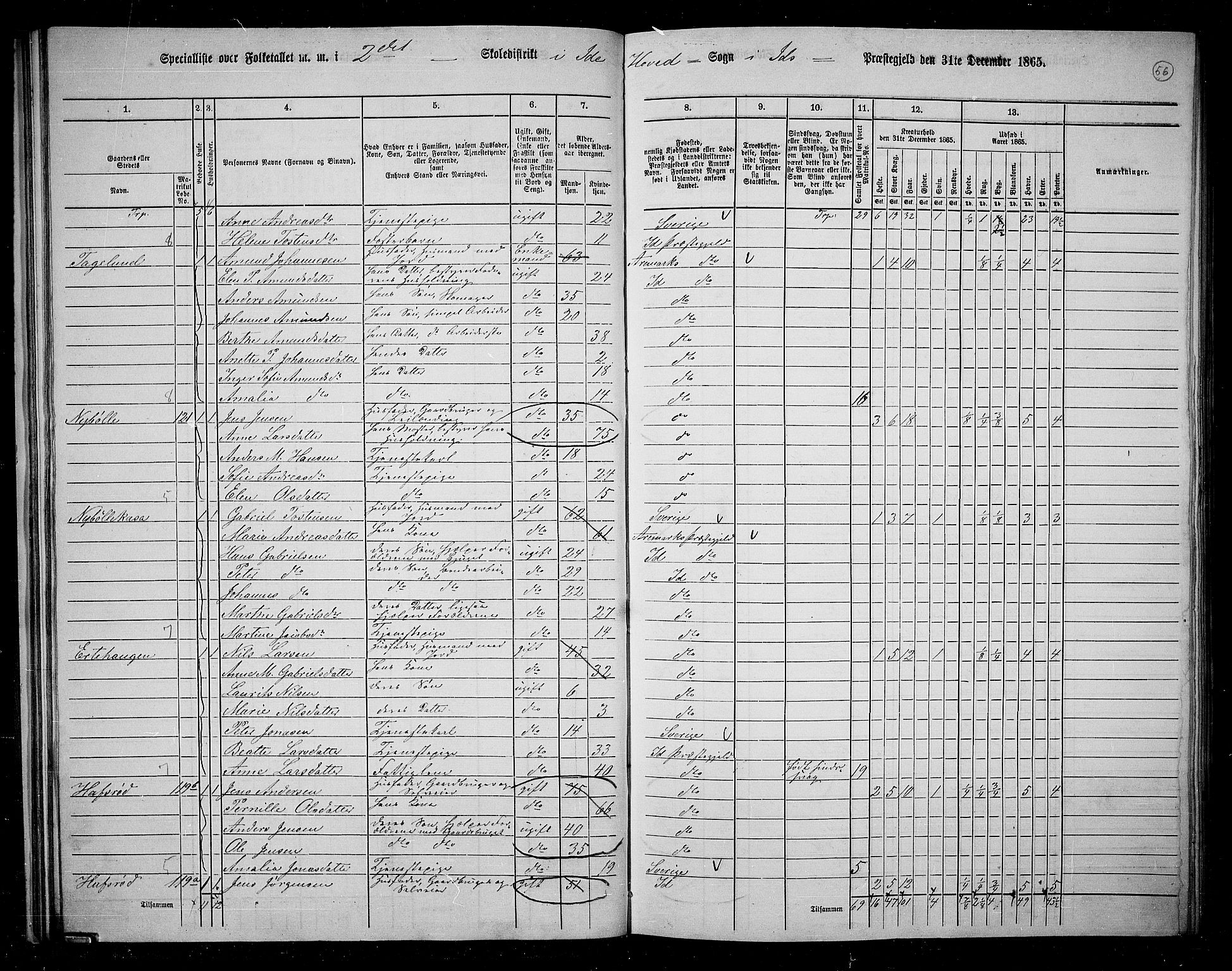 RA, 1865 census for Idd, 1865, p. 48